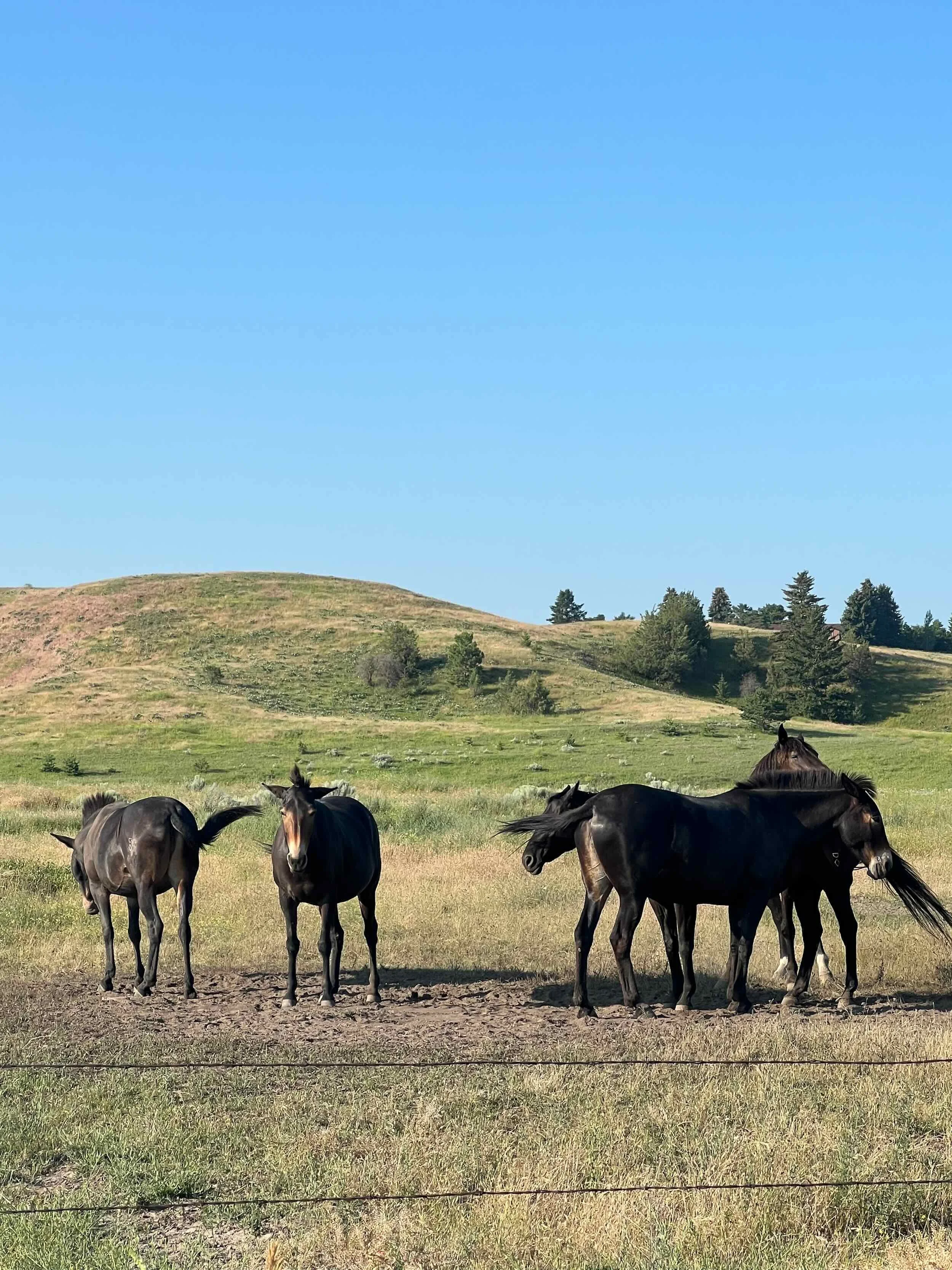 Reference Photos - 8 of 9.jpeg