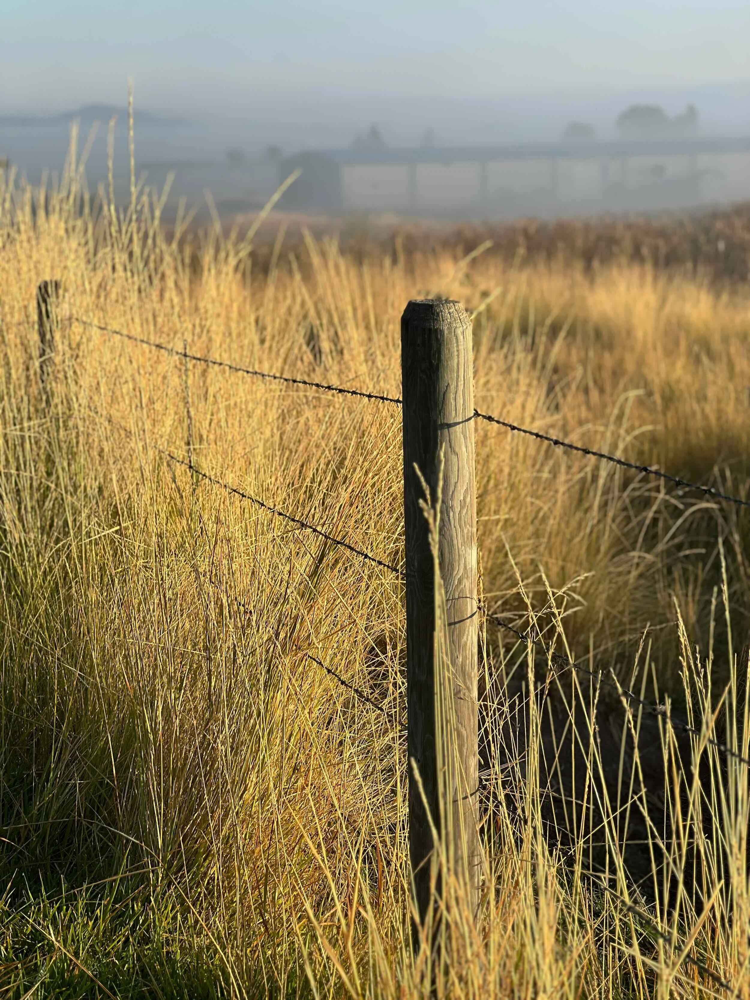 Reference Photos - 5 of 9.jpeg