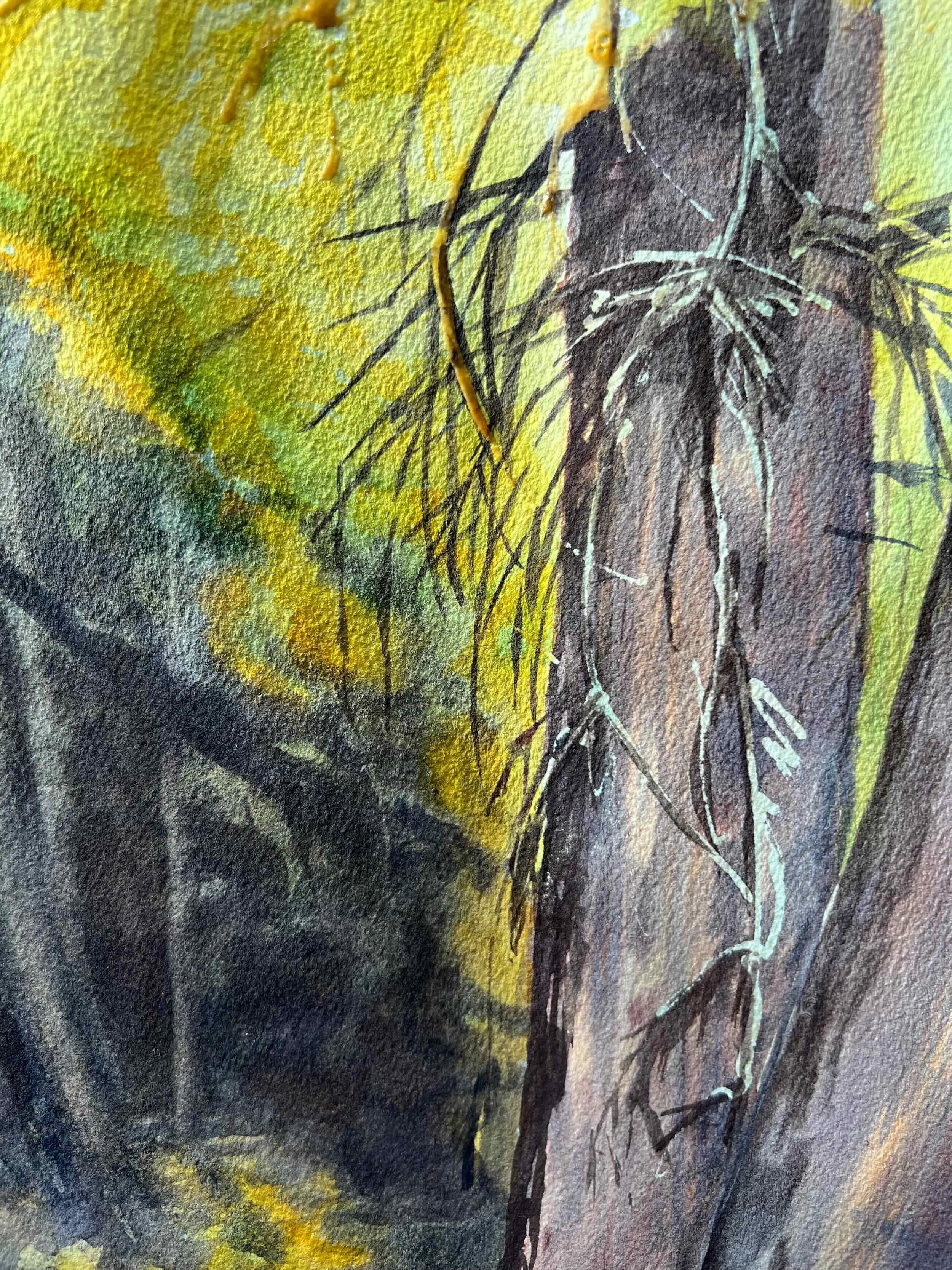 1550 Forest Vale - 6 of 8.jpeg