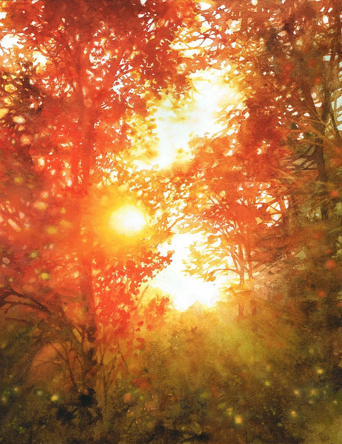 Red Sunset Through the Trees