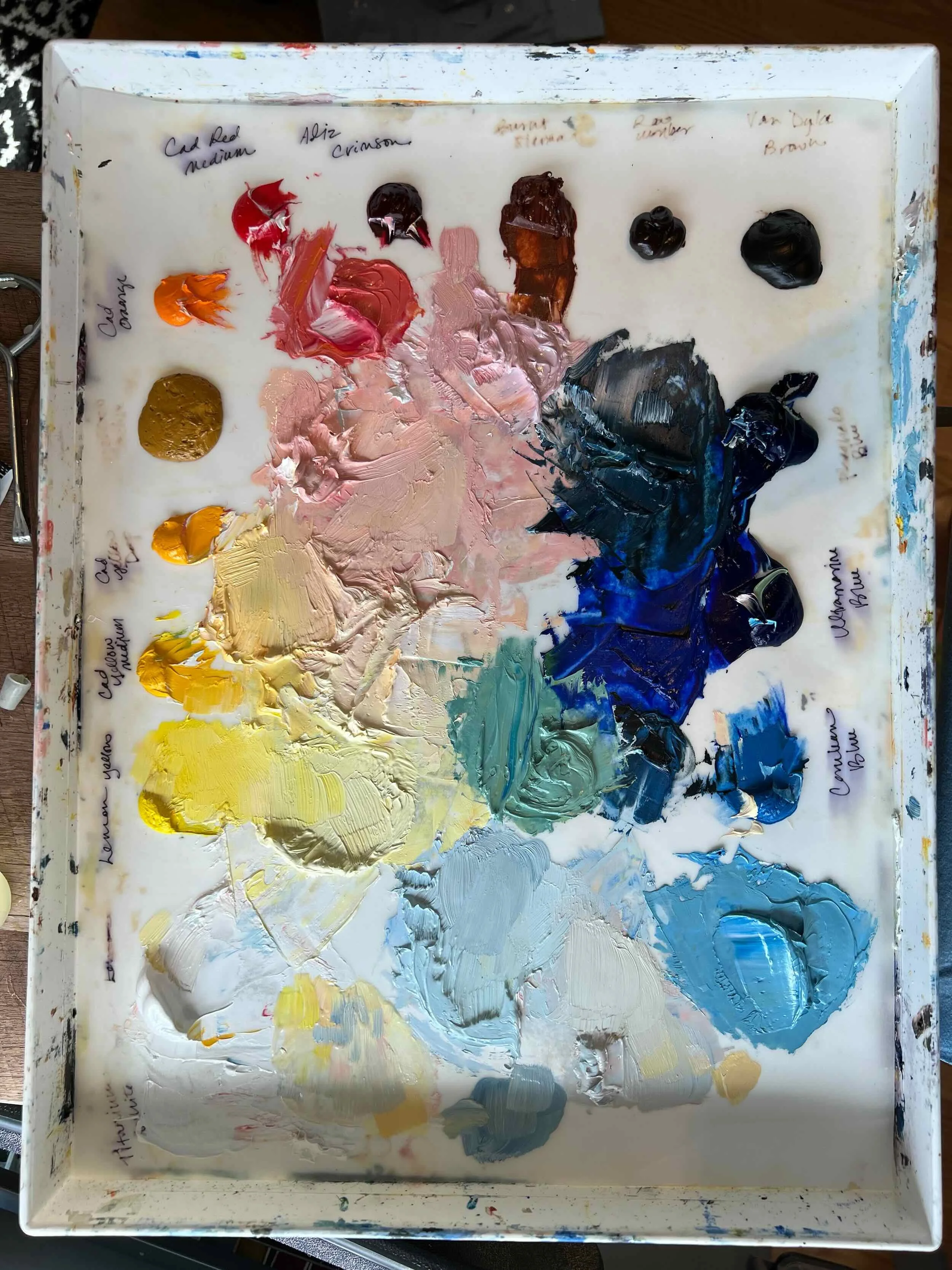 Beyond the Expected Palette: Exploring Color in My Paintings
