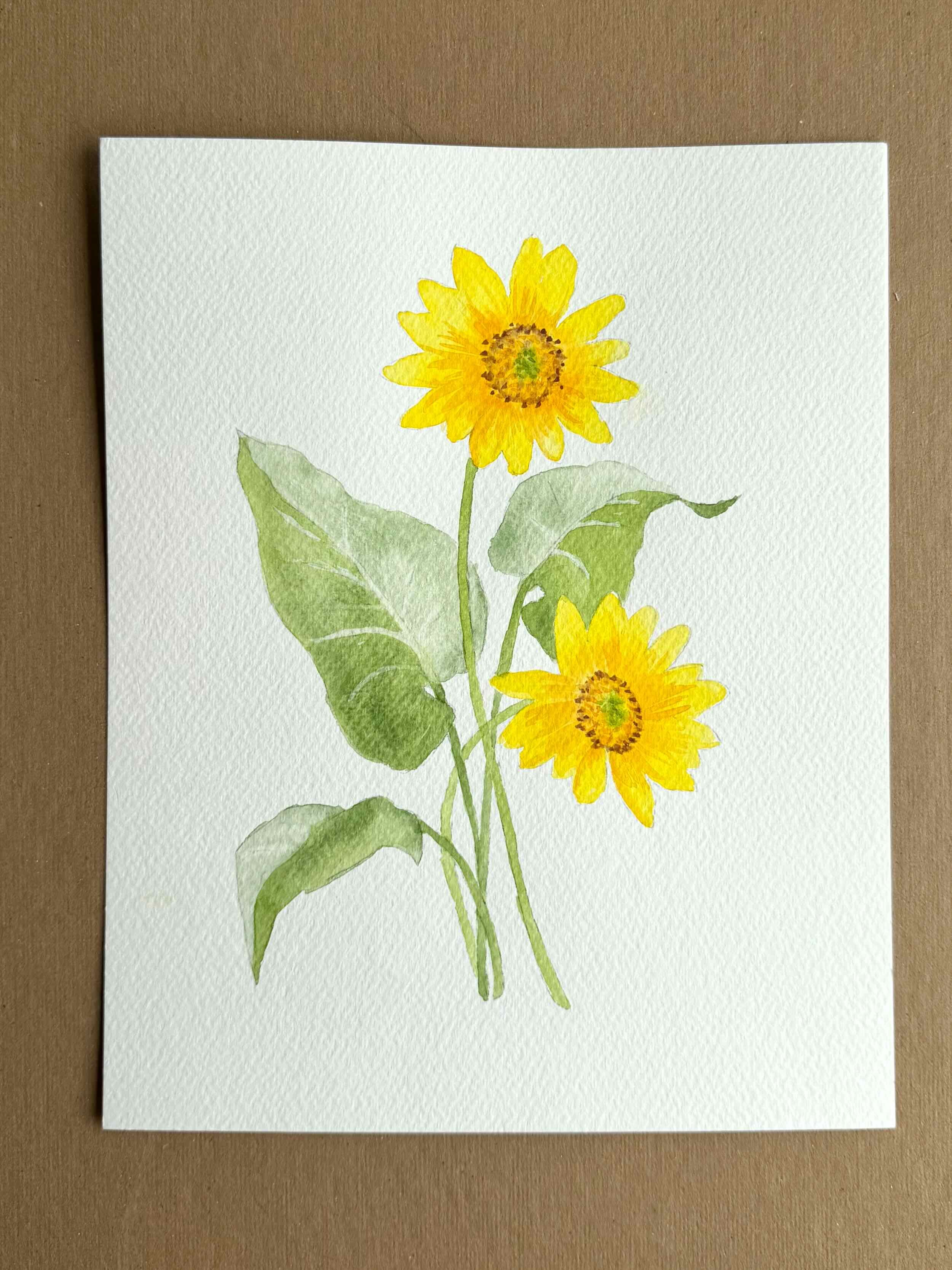 Arrowleaf Balsamroot