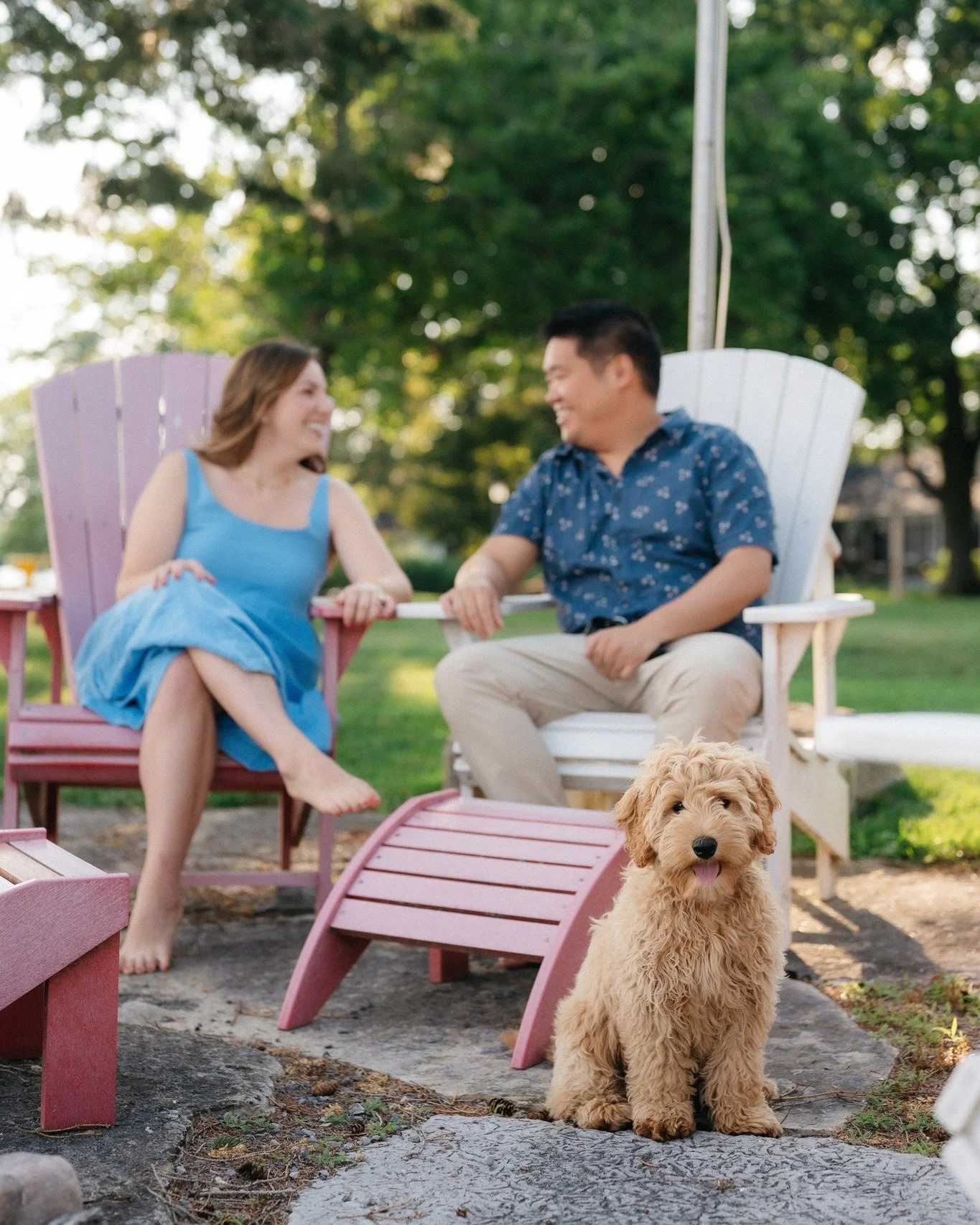 golden summers on the dock ☀️

HOW CUTE IS OSCAR?! 

peterborough family photographer couples session