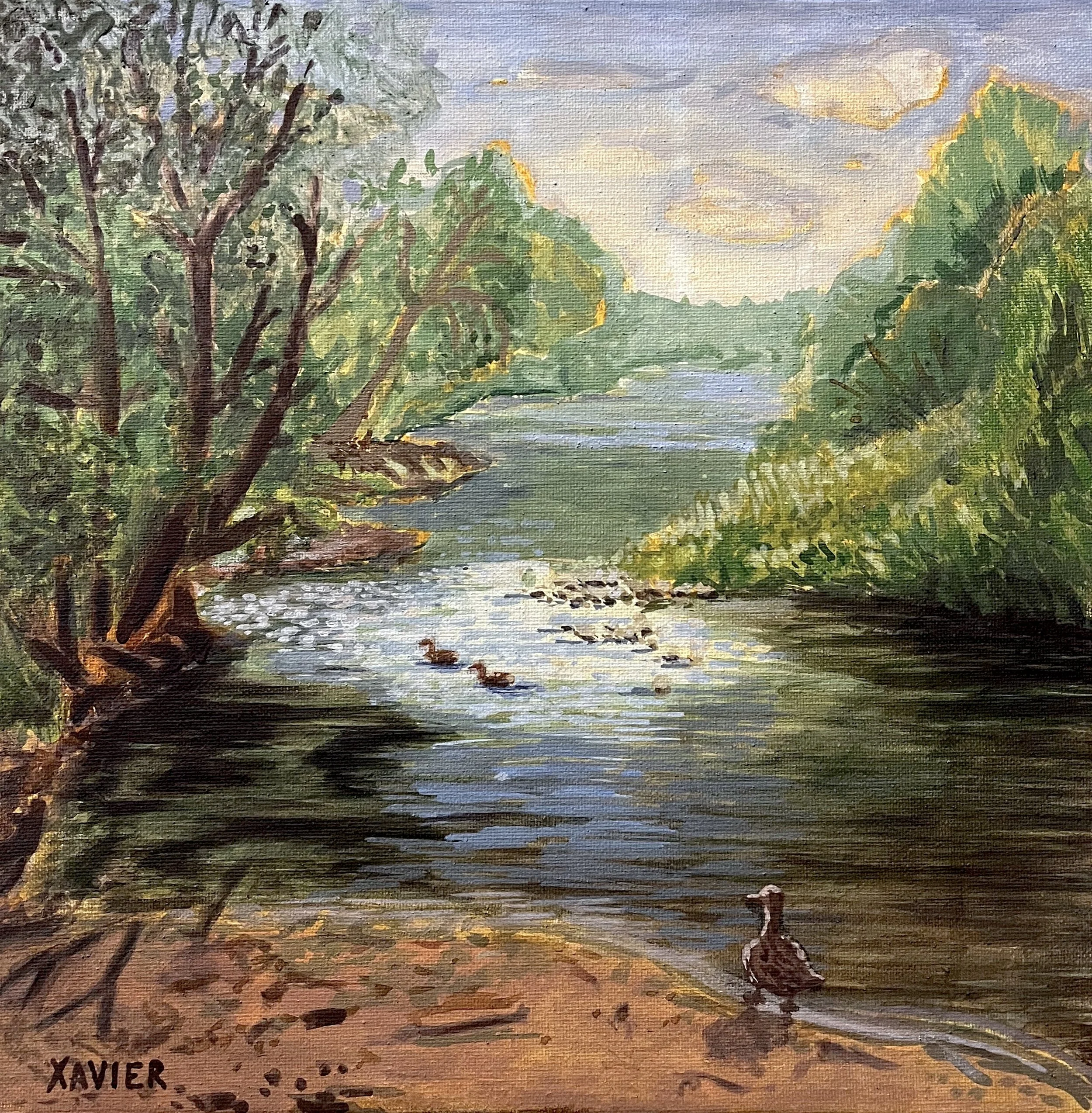 Riverbend Ducks
