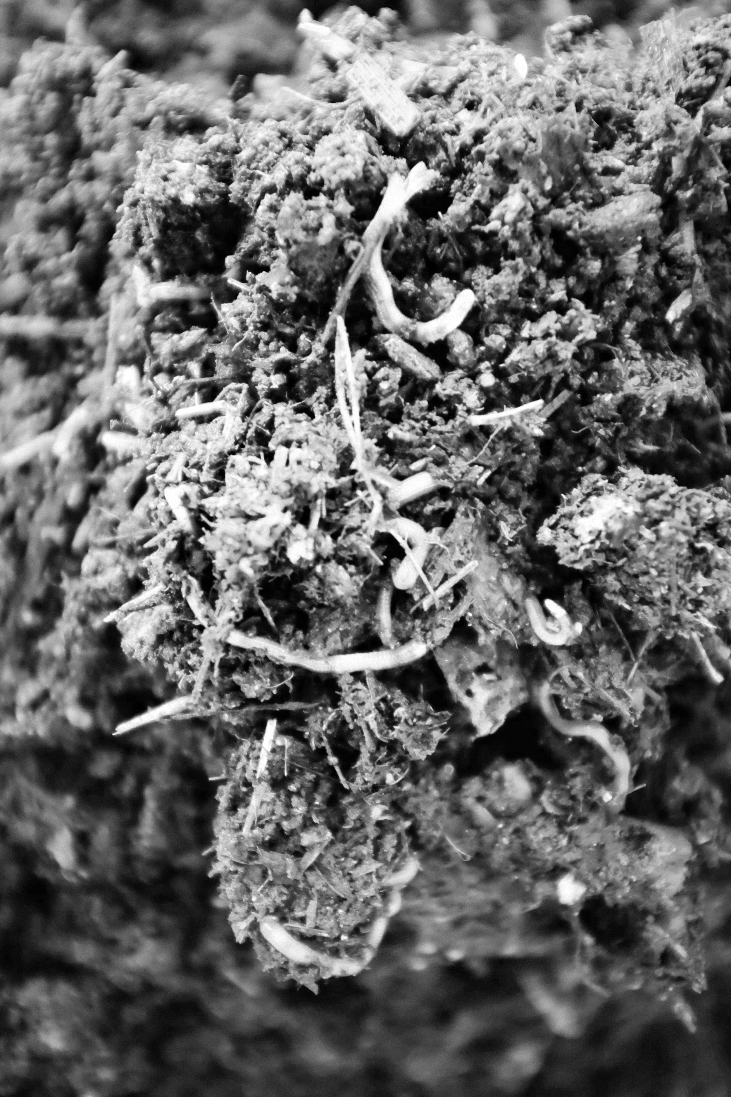 Soil