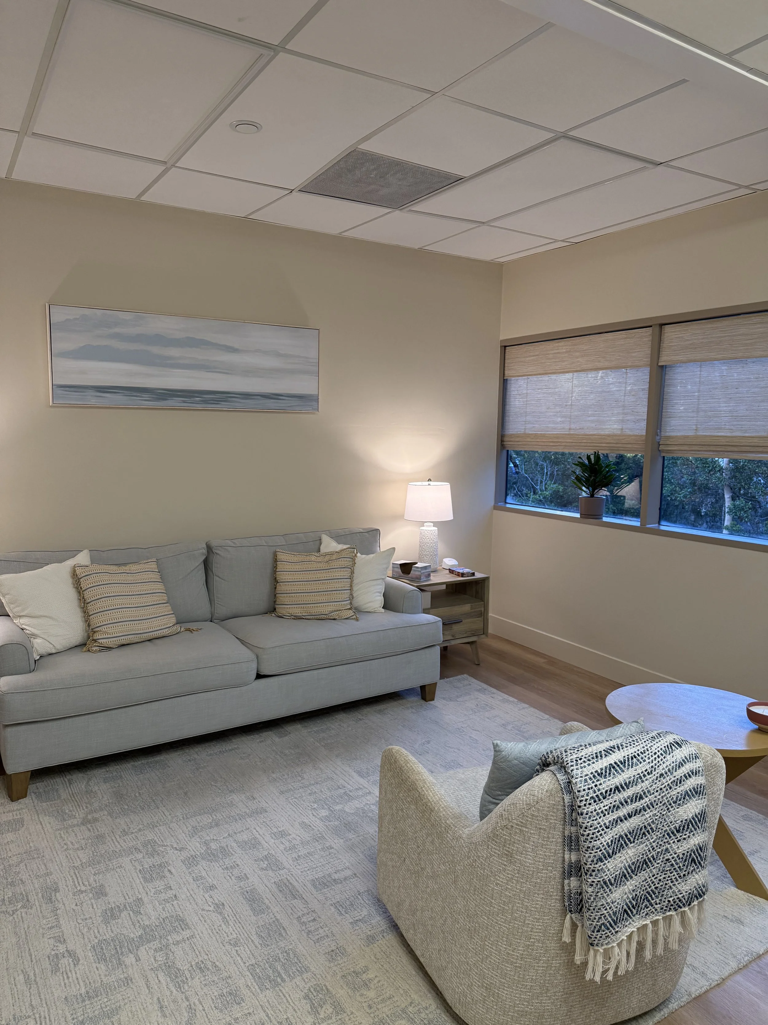 Living room with a light gray sofa, four throw pillows, a side table with a lamp, a beige armchair with a patterned throw blanket, a round coffee table, large windows with beige blinds, a potted plant, and a framed picture of a seascape on the wall.