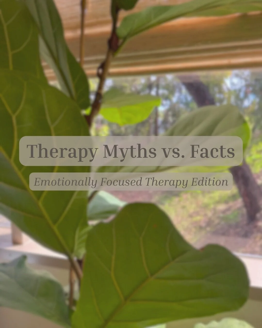 Many struggles in relationships aren&rsquo;t about a lack of love or commitment, they&rsquo;re about the patterns couples get stuck in.

Emotionally Focused Therapy (EFT), developed by Dr. Sue Johnson, helps partners slow down those patterns, underst