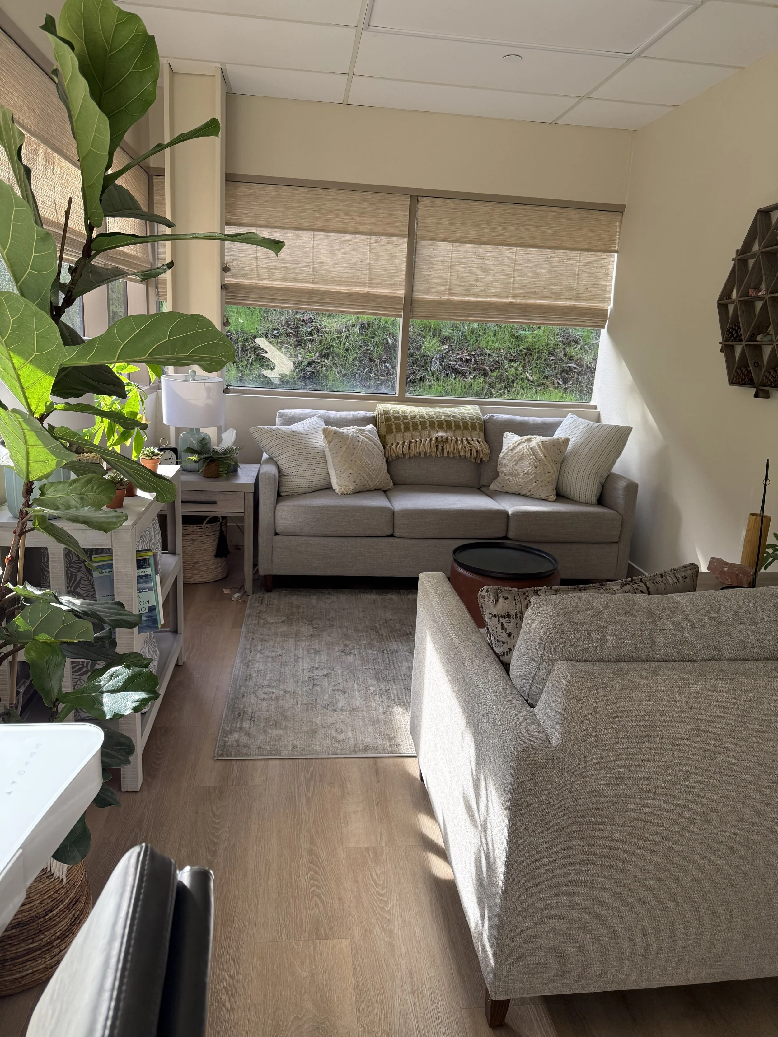 A cozy living room with a beige sofa, a light-colored armchair, a small rug, a large window with blinds, potted plants, and decorative pillows.