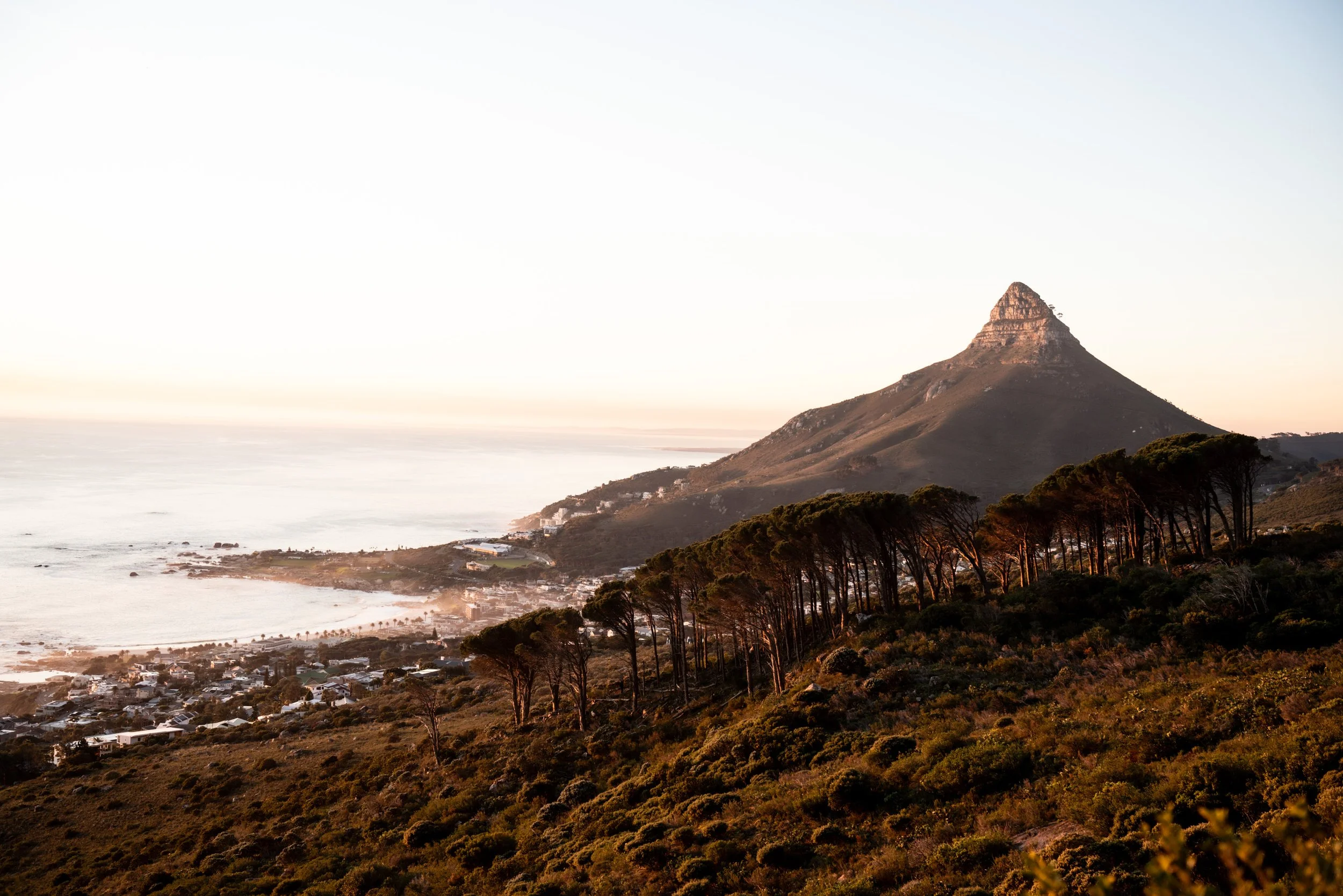 2025-06 SA M. Widenka-50.jpg