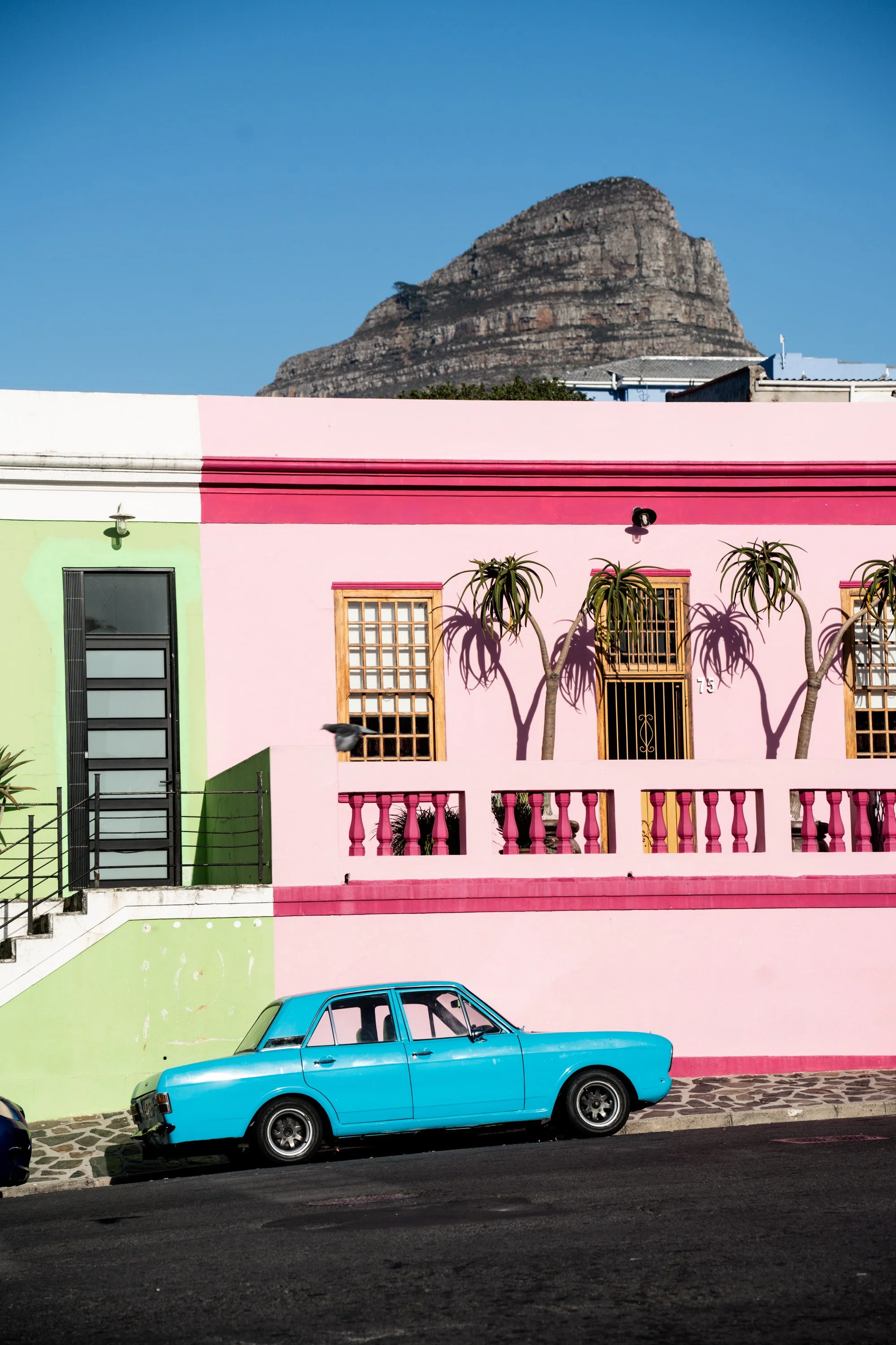 2025-06 SA M. Widenka-75.jpg