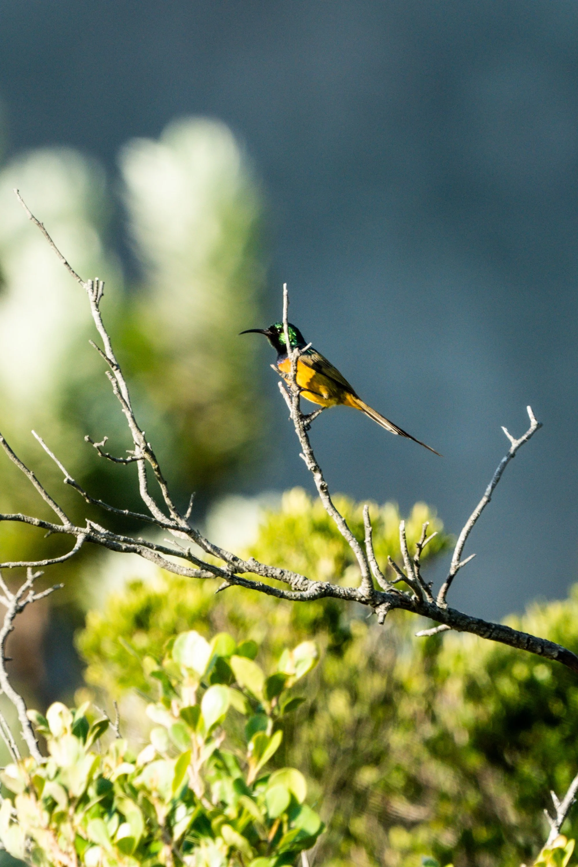 2025-06 SA M. Widenka-197.jpg