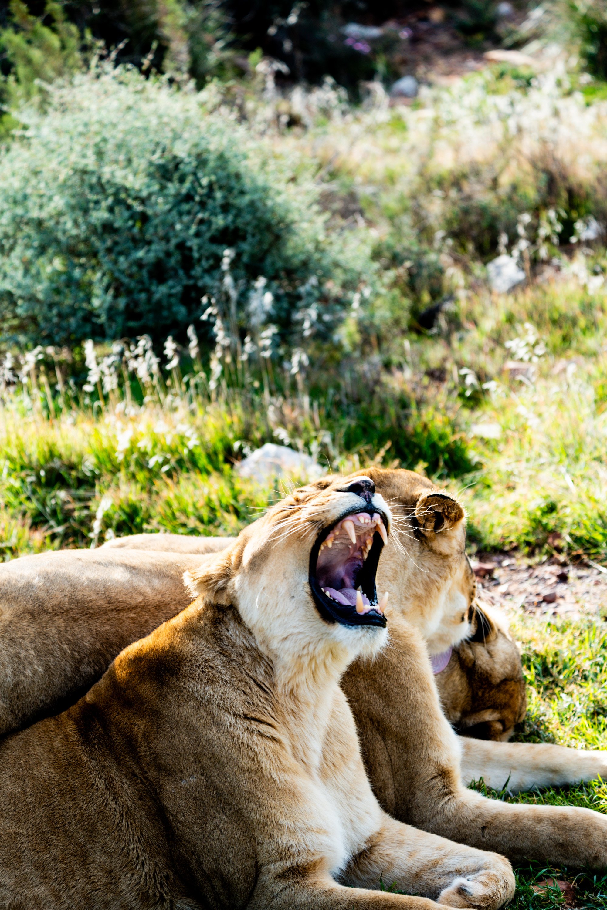 2025-06 SA M. Widenka-271.jpg