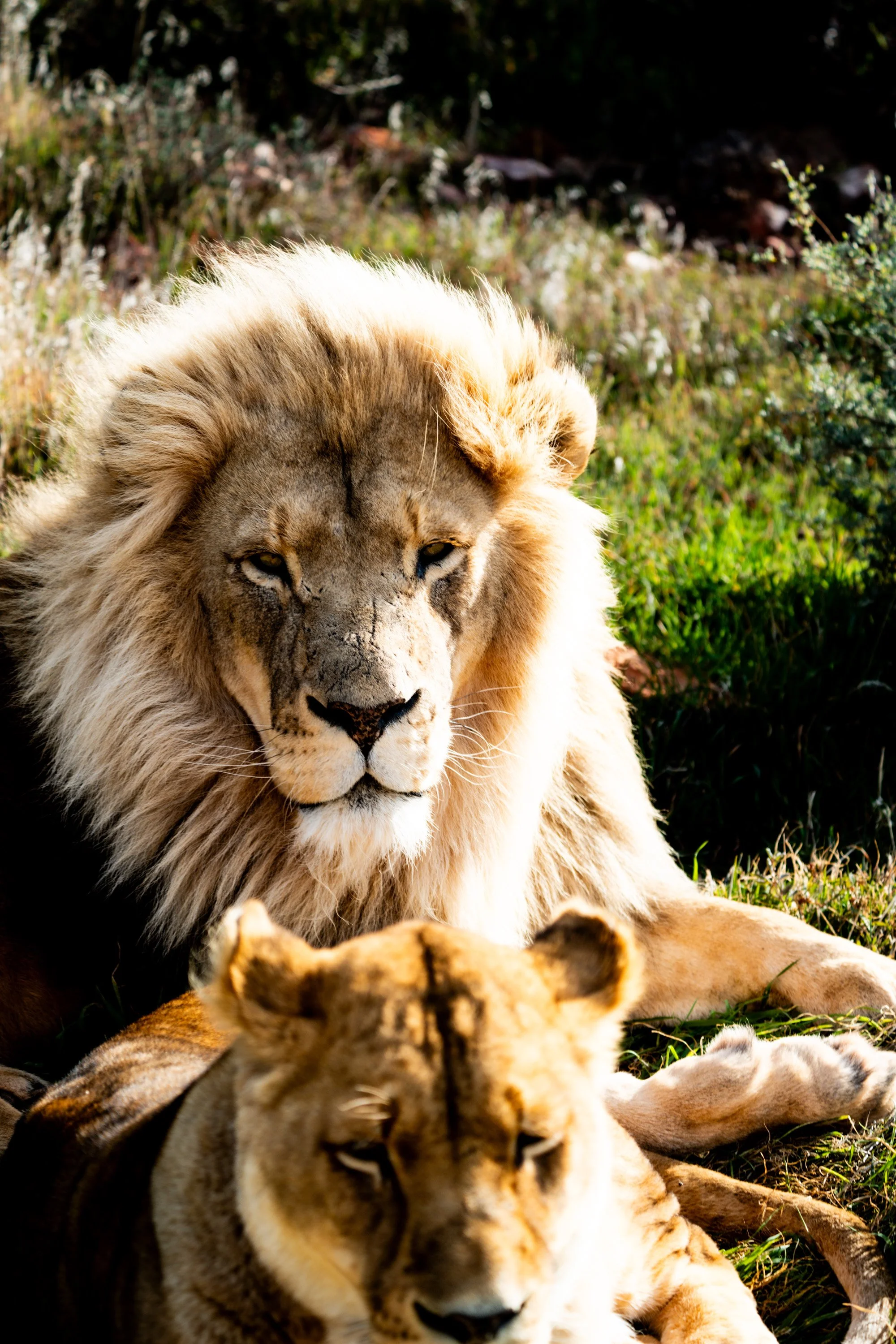 2025-06 SA M. Widenka-257.jpg