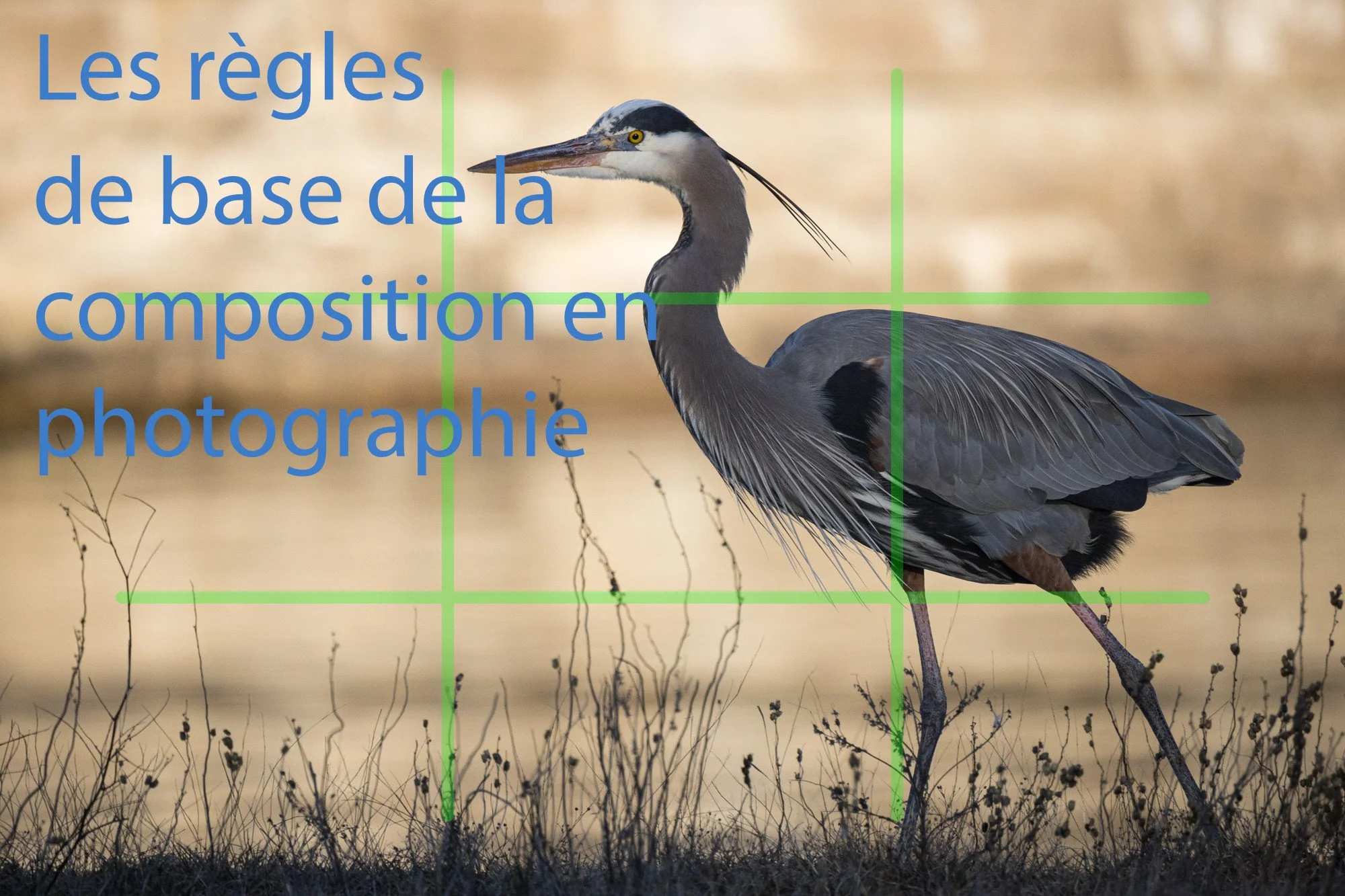 Les règles de composition de base