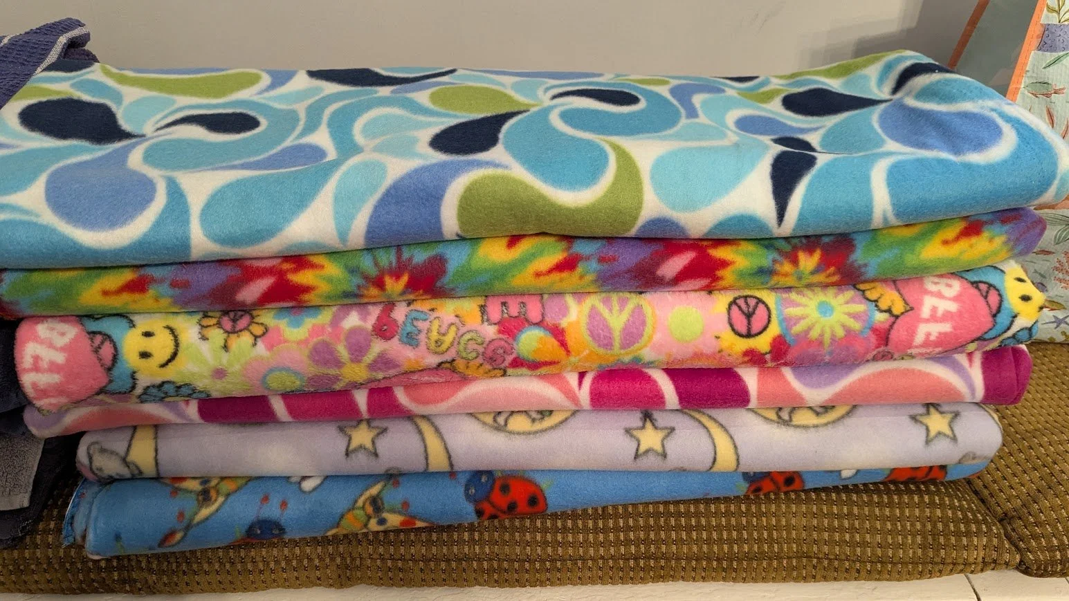 fleece may 2026.jpg
