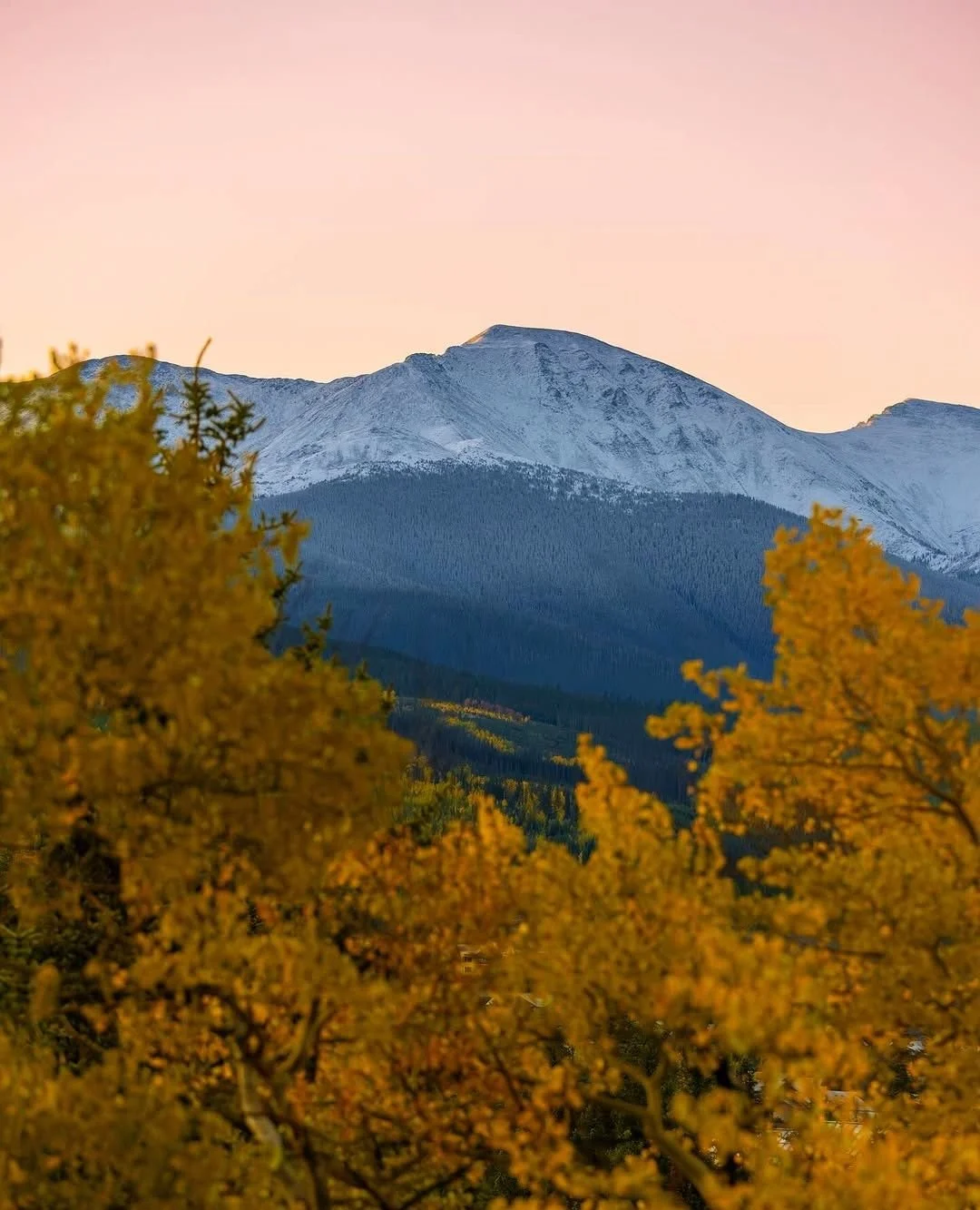 Fall is in full swing &amp; the mountains have turned golden 🌄⁠
⁠
#mountains #fall #golden #leaves #season #changing #fallseason #seasonchange #winter #october #halloween #resort #outsidelife
