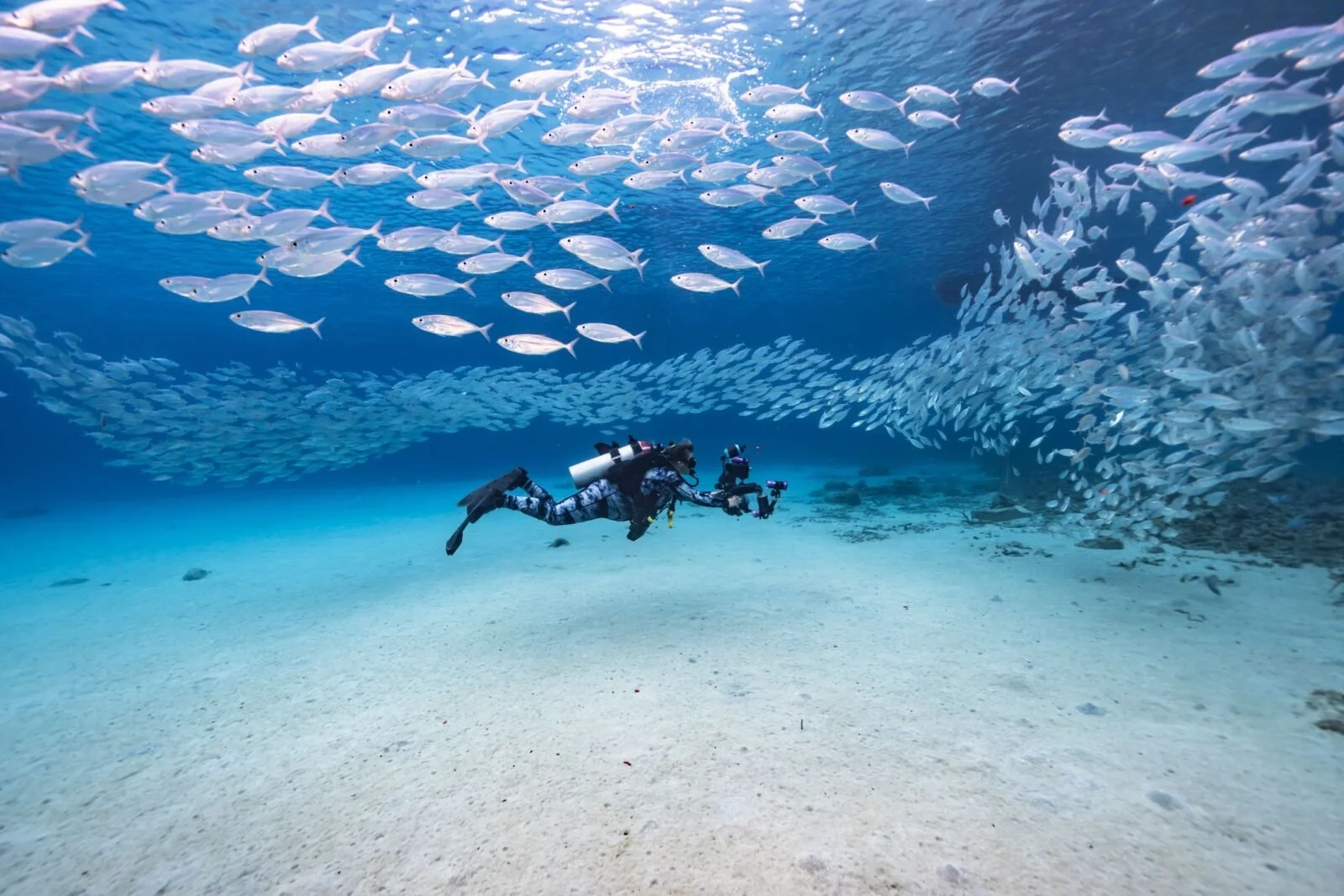 curacao-diving-island-of.jpg