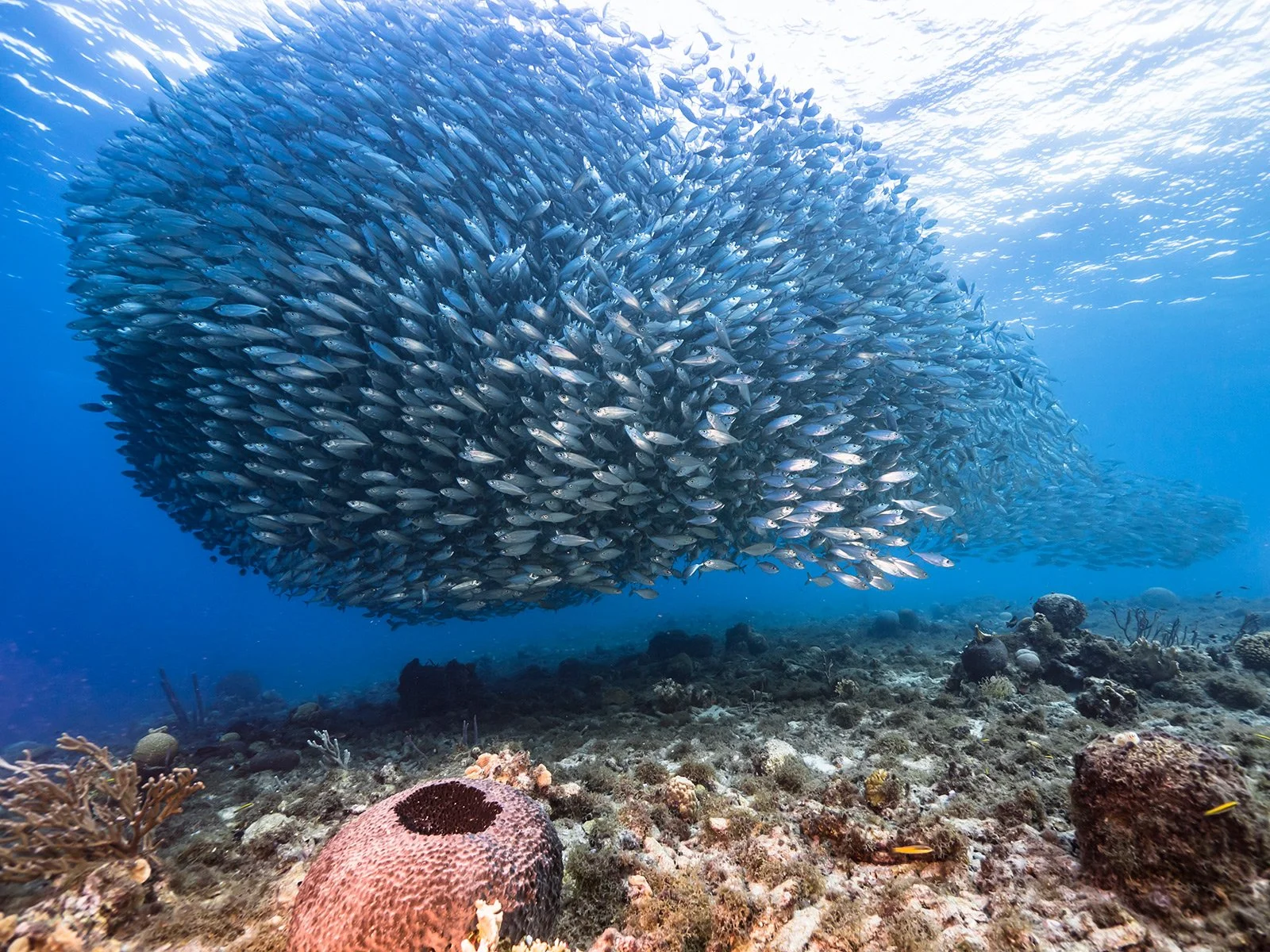 Curacao_2020_09_22-408-2.jpg