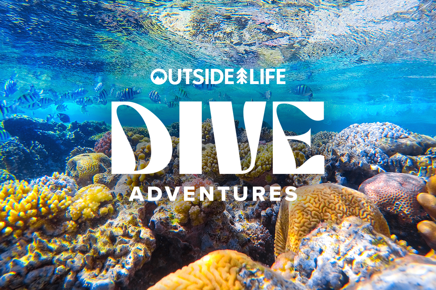 Caribbean Scuba Diving Trips 2026: Outside Life Dive Adventures in Bonaire &amp; Curaçao