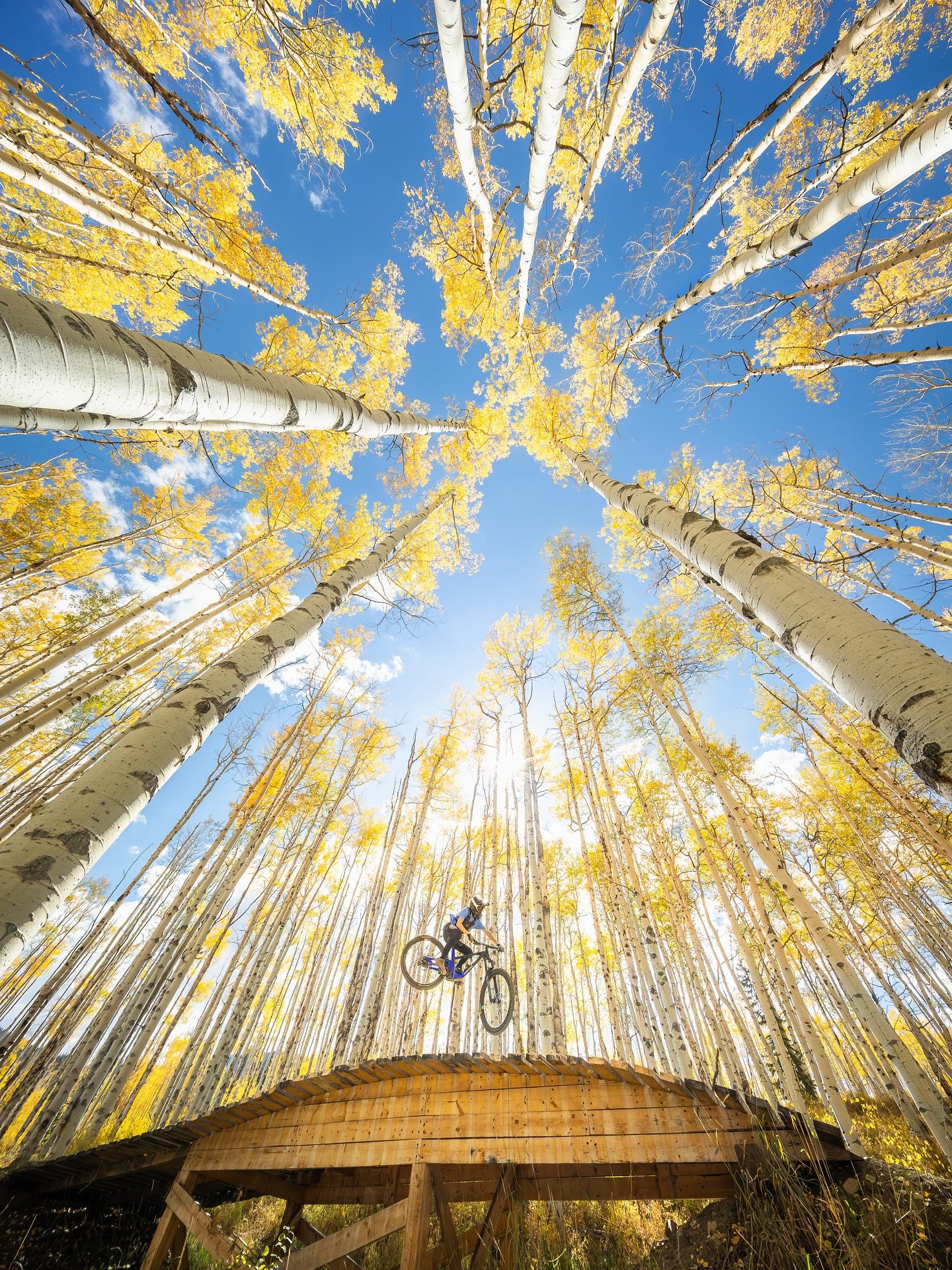 Leaves are changing, bike season is winding down, and winter&rsquo;s starting to feel a whole lot closer 🍂🚲❄️⁠ #OutsideLife #Fall