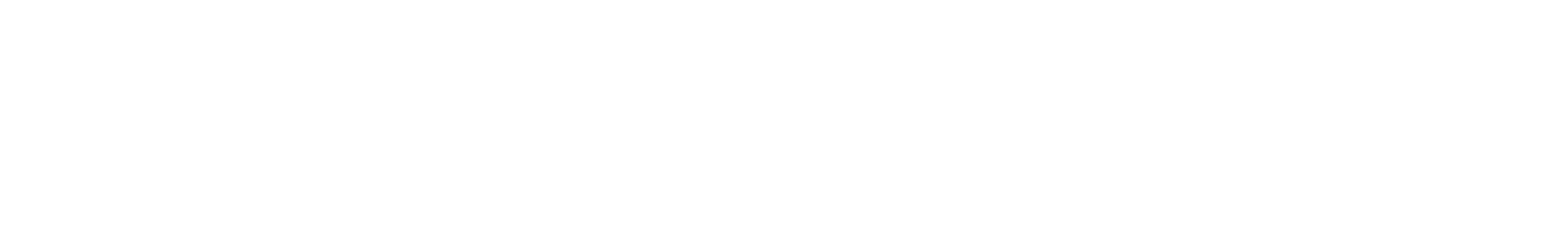 dirtdaze logo