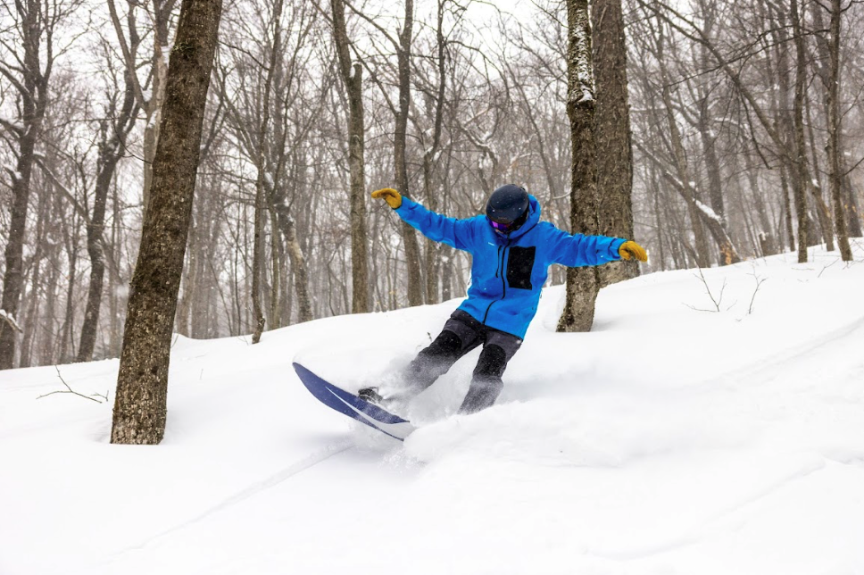 THE BEAST OF THE EAST KILLINGTON