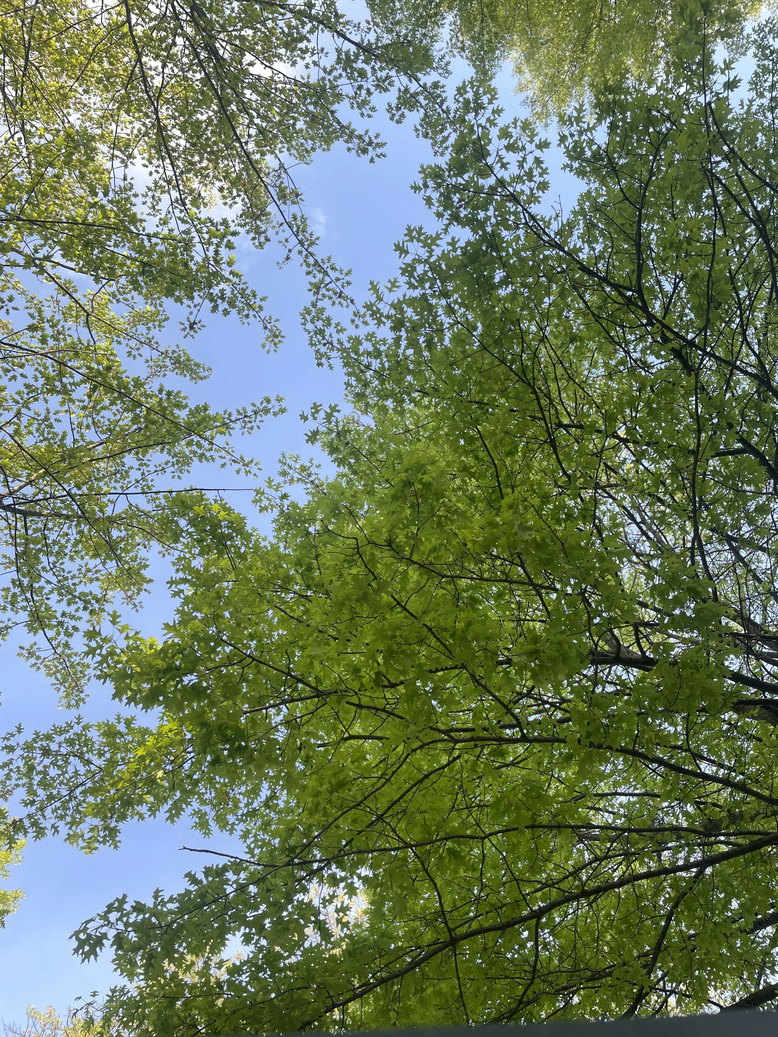 Frustration is a Pathway to Clarity