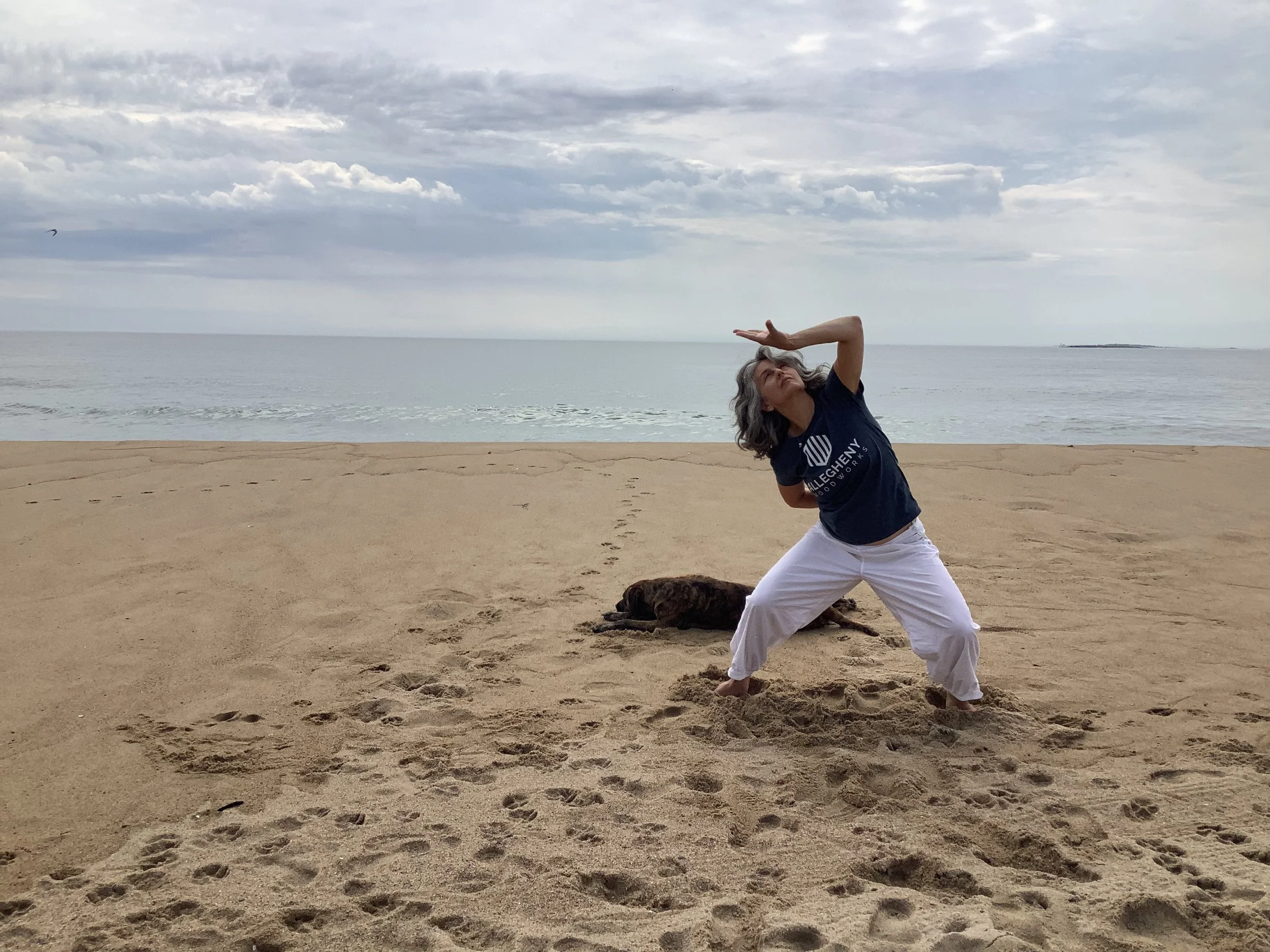 Transformational Qigong-Free in June 