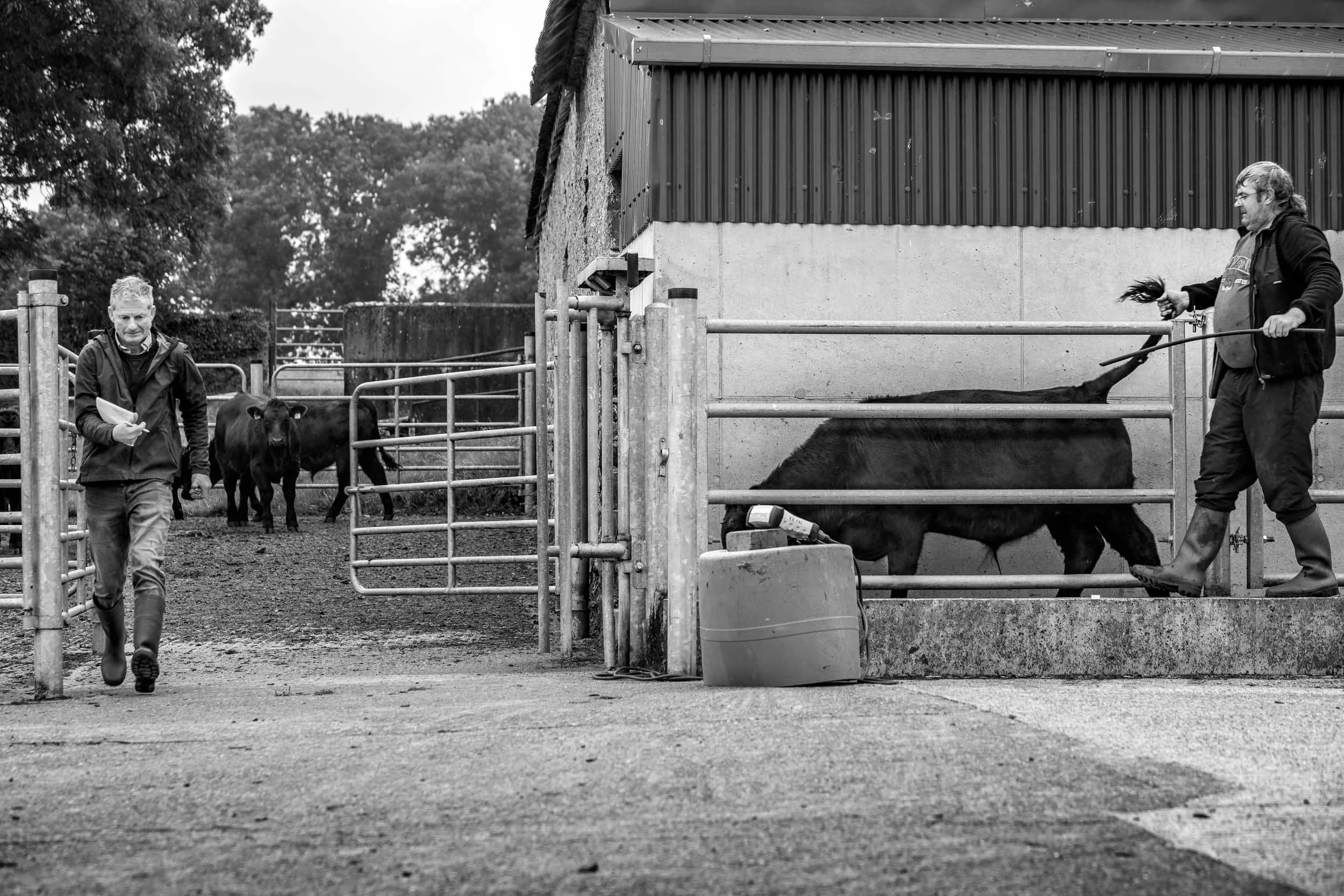 agricultural-photographer-milwaukee-8.jpg