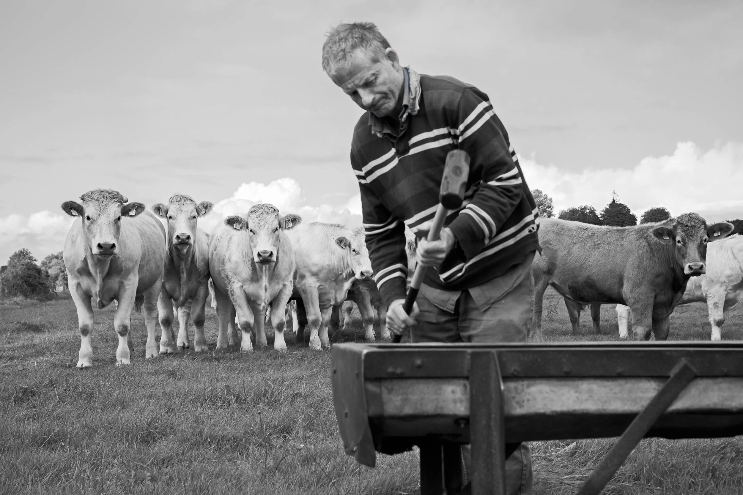agriculture-photographer-milwaukee-23.jpg