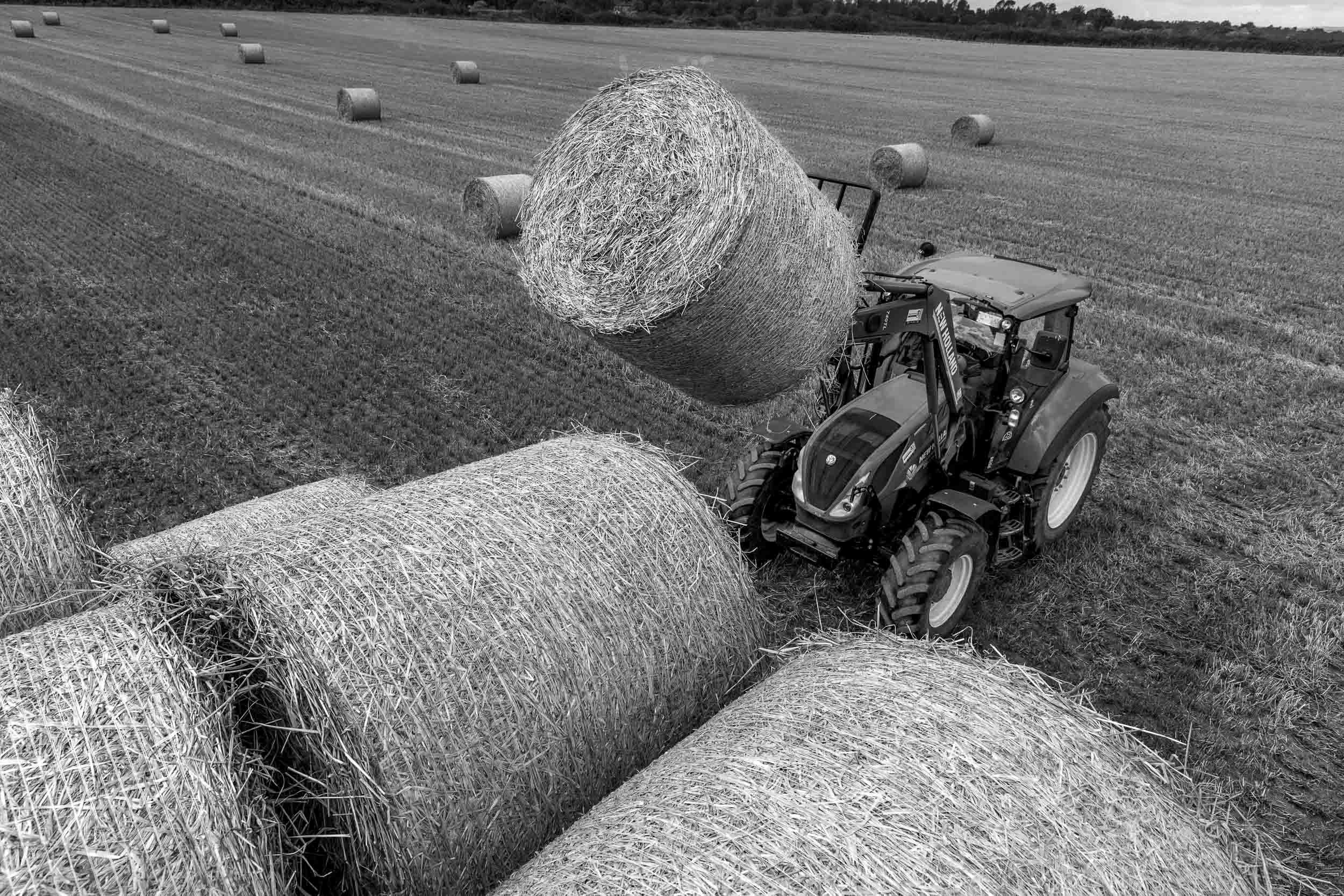 agricultural-photographer-chicago-4.jpg