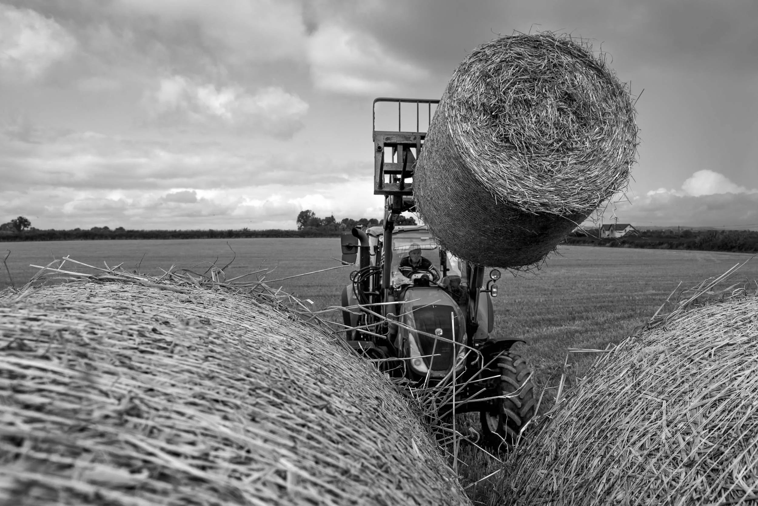 agriculture-photographer-chicago-16.jpg
