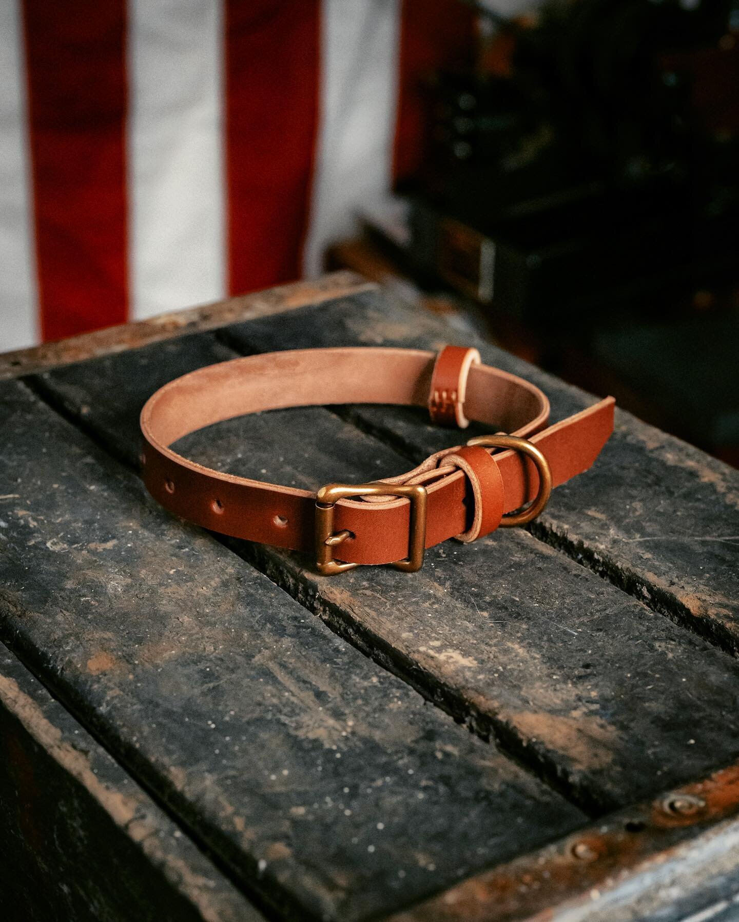 May the 4th be with you! Heritage is tomorrow! Here is another new product hitting the shop! 

The Heritage dog collar.

#Leathercrafting #handmade #handmadeleather #leather #leatherwallet #edc #edcwallet #fieldnotes #leathergoods #leatheraccessories