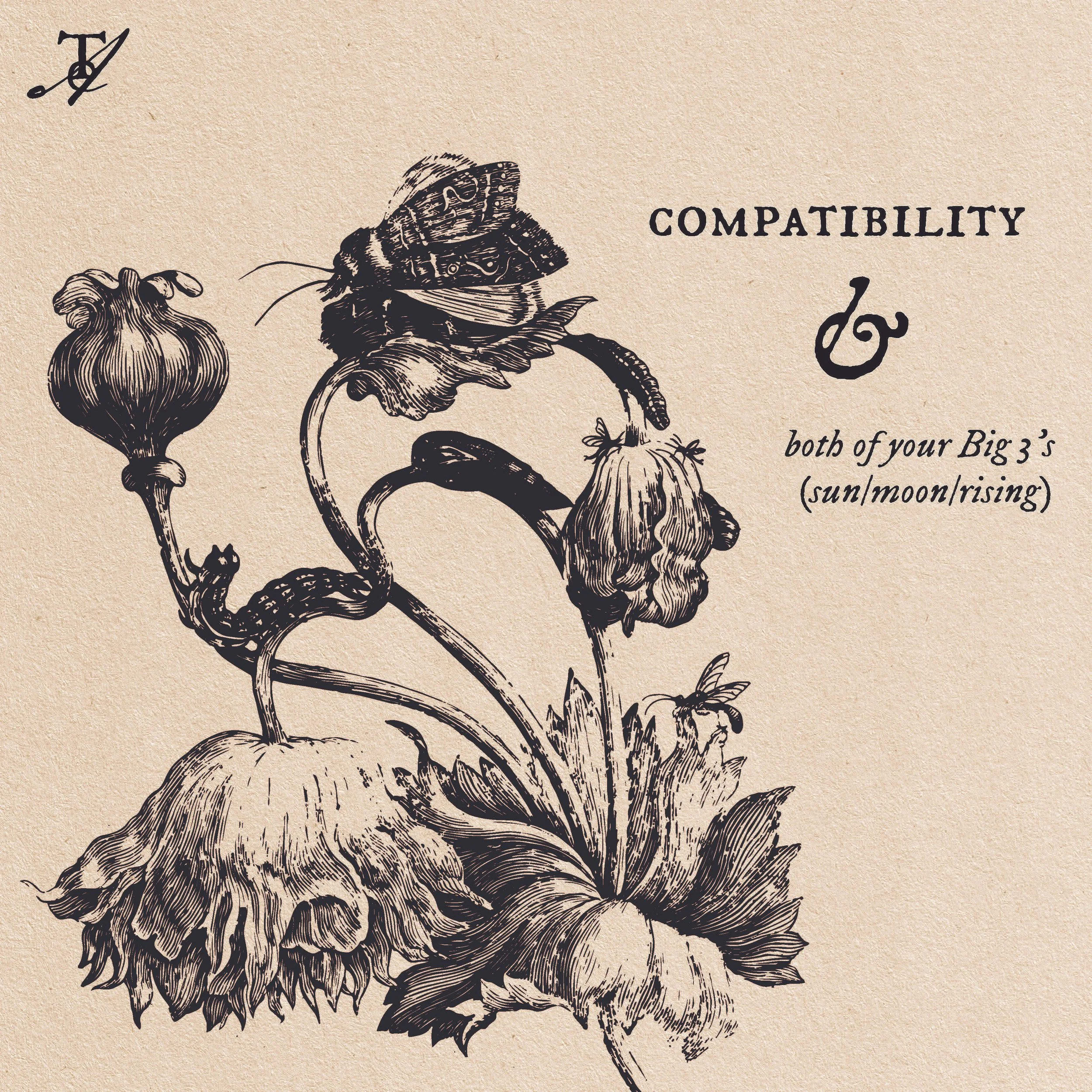 compat13.jpg