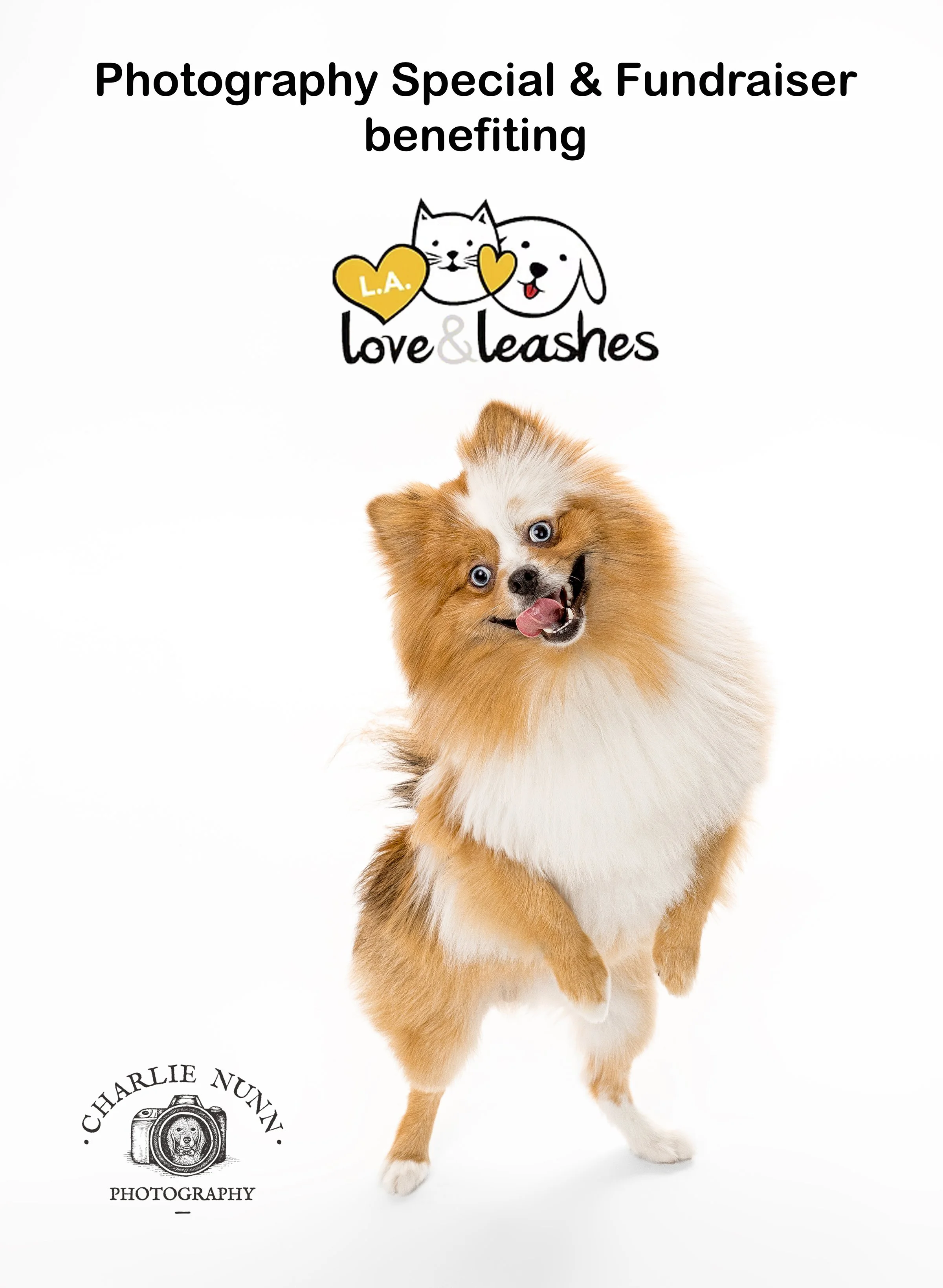 Studio Portrait Session benefiting L.A. Love & Leashes