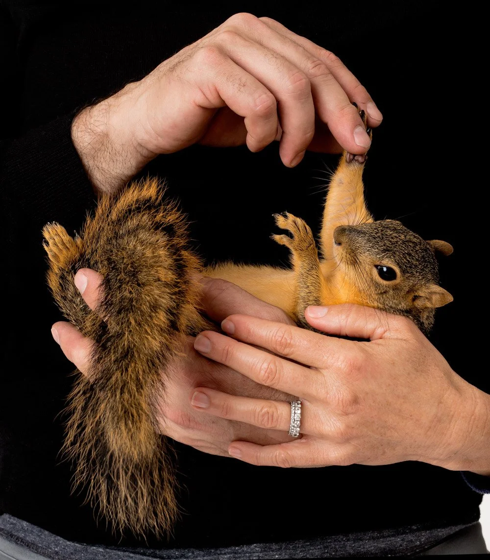 charlie-nunn-photography-animals-portraits-los-angeles-california (4).jpg