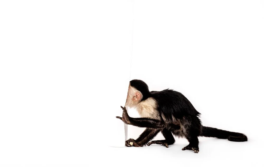 charlie-nunn-photography-animals-portraits-los-angeles-california (2).jpg