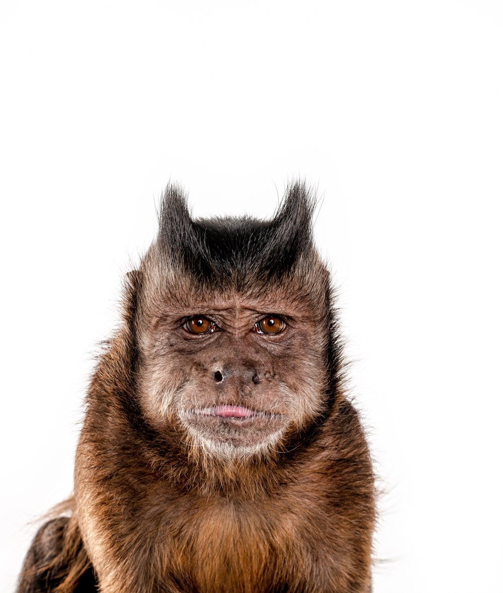 charlie-nunn-photography-animals-portraits-los-angeles-california (24).jpg