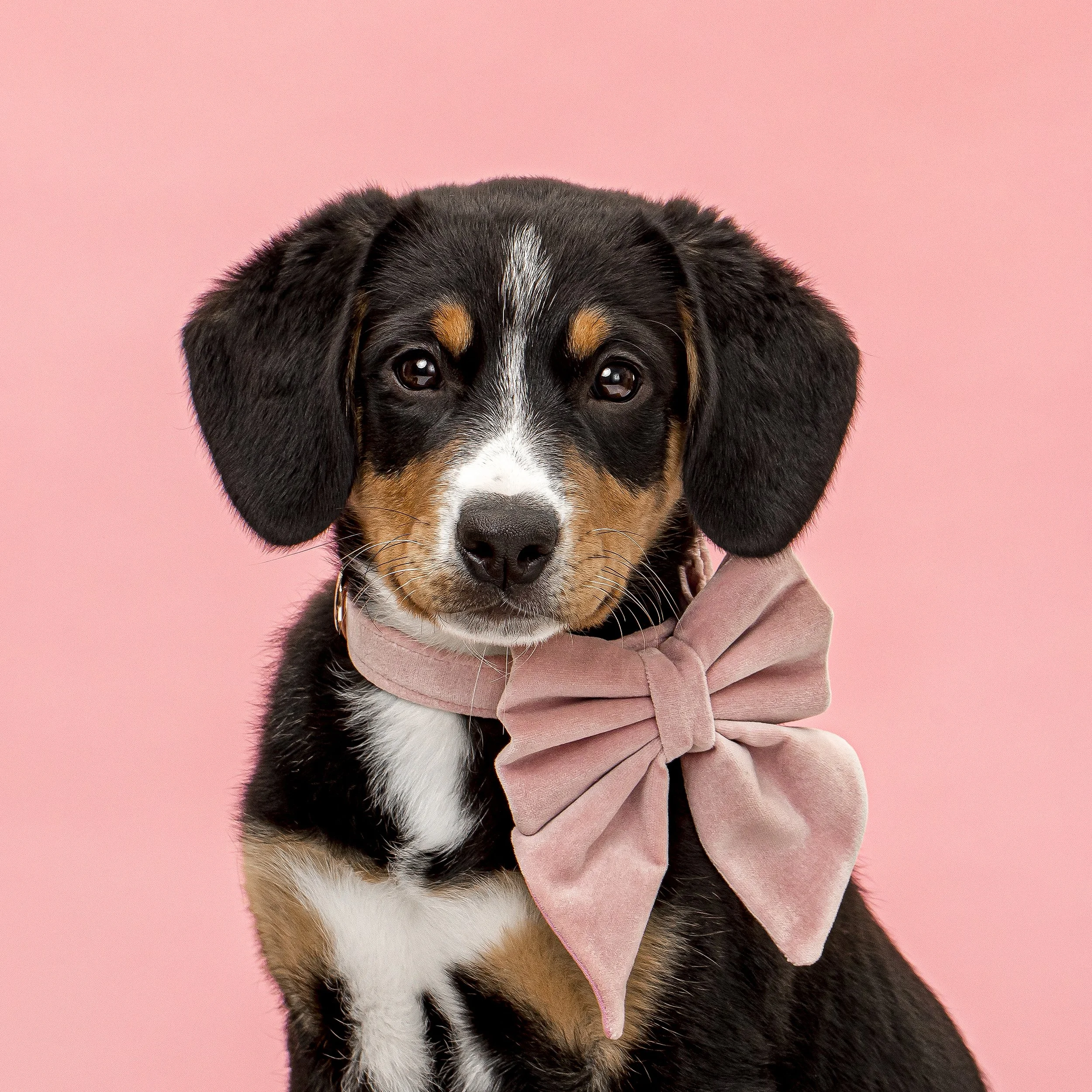 2024 05 26 Tan-121 copy.jpg