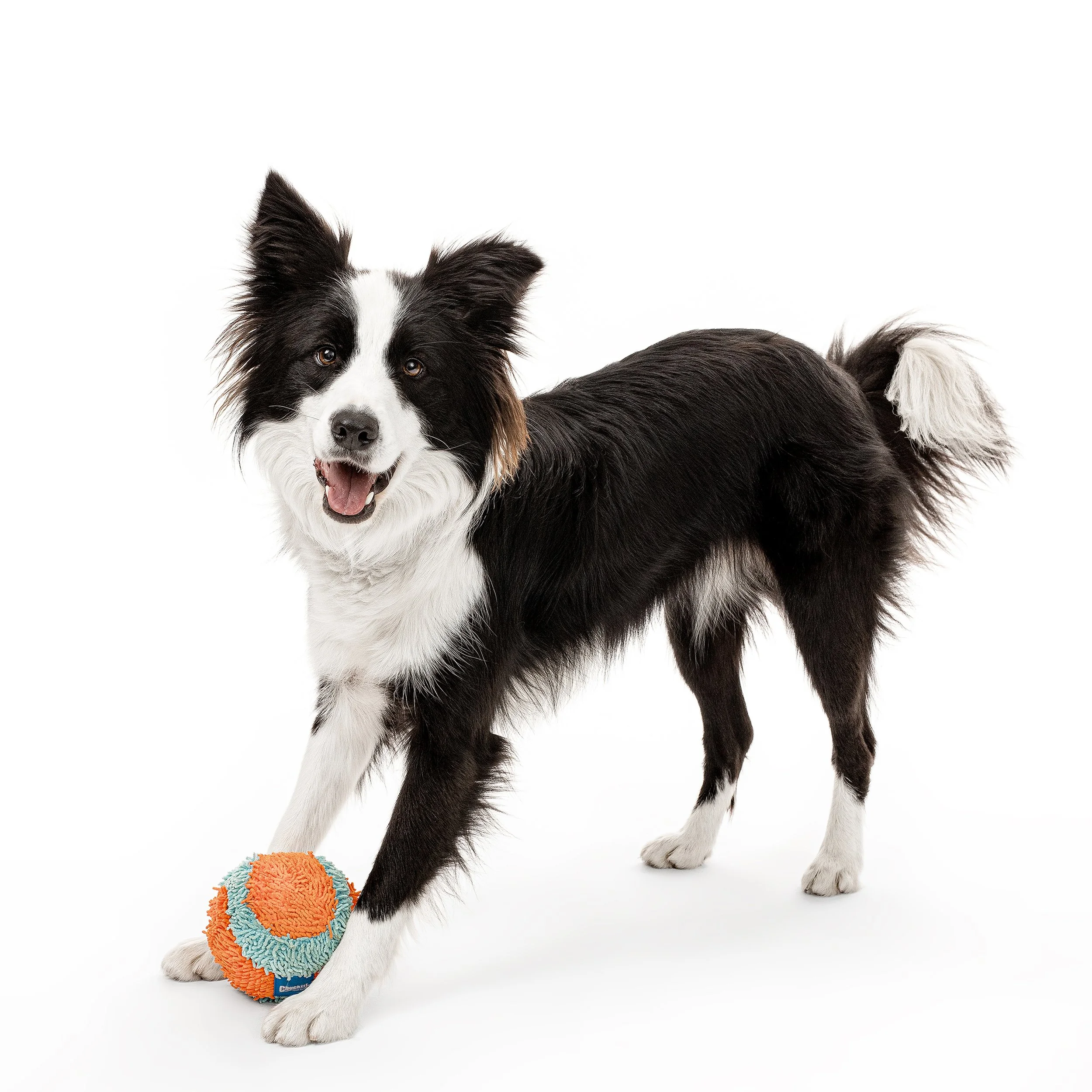 2023 12 02 Murrel-105 copy.jpg