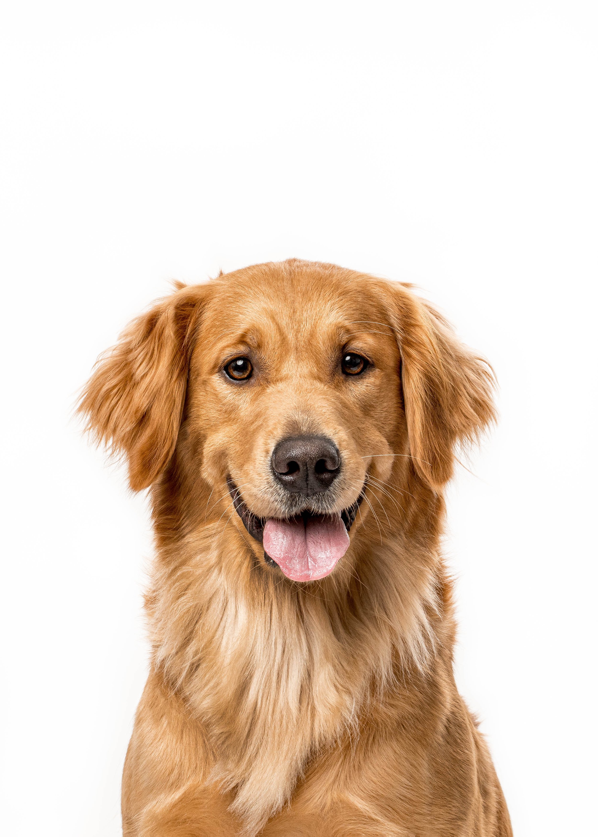 2020 11 01 Gonzalez-115-Edit-Edit.jpg