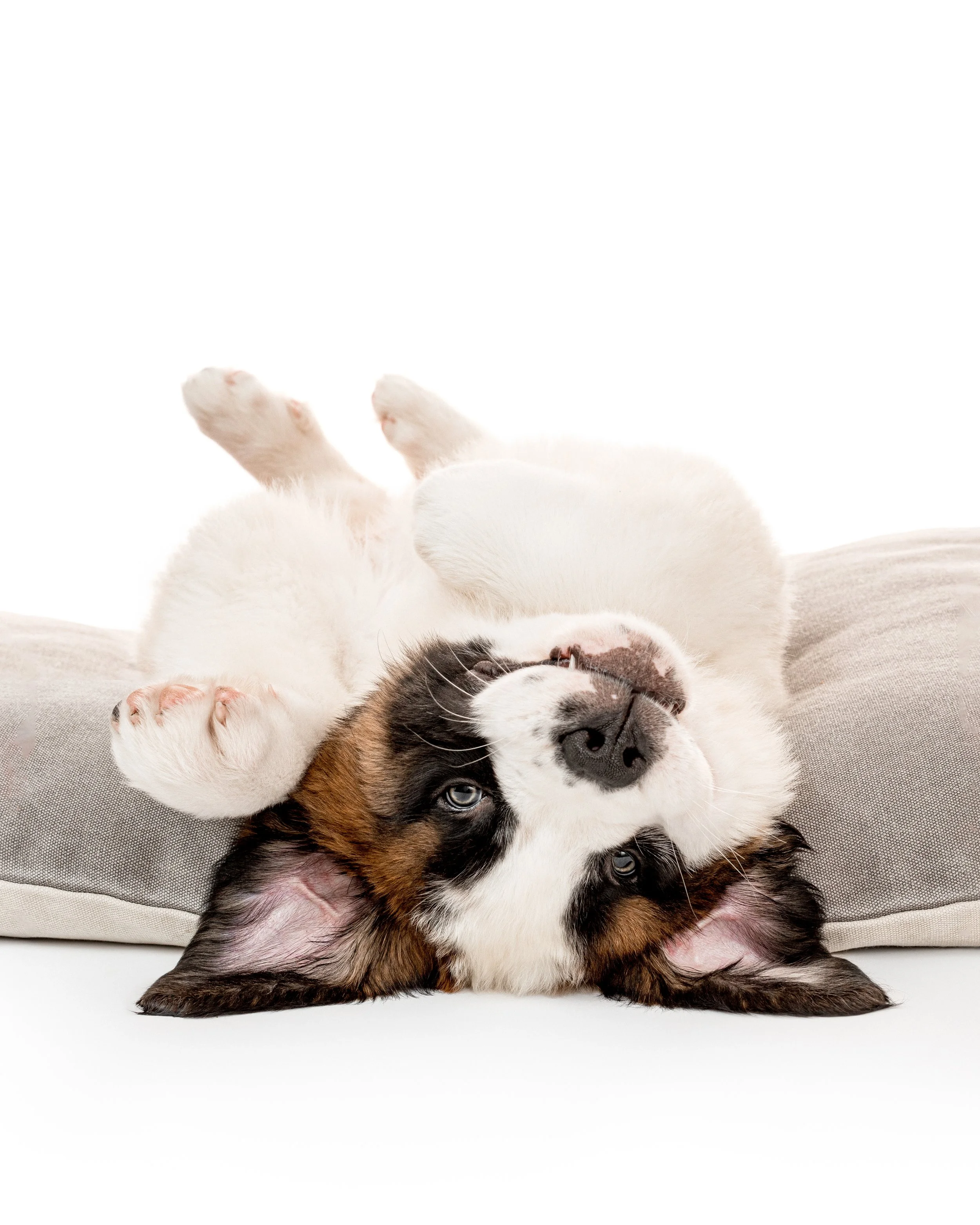 2025 07 25 Berlin-113.jpg