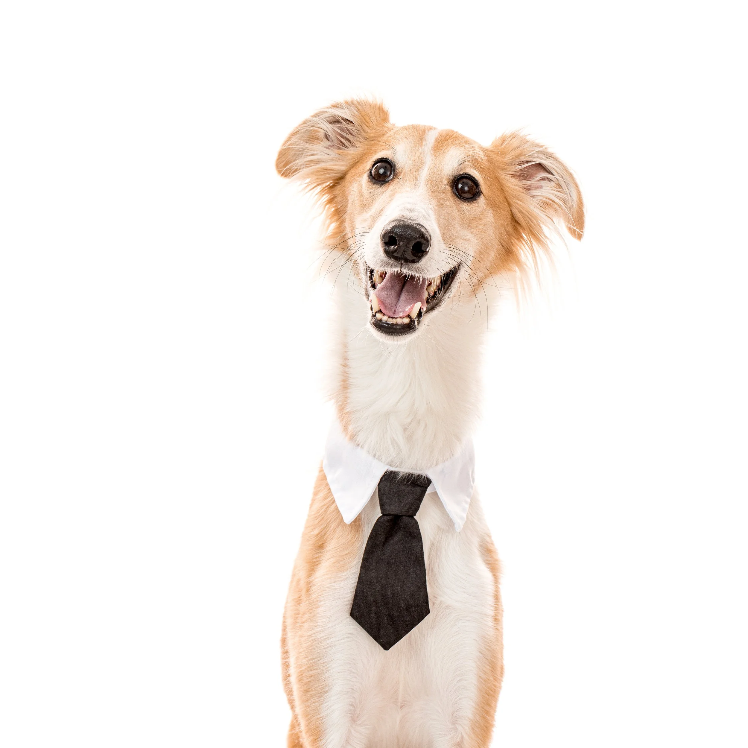 2025 05 02 Burkland-121 copy.jpg