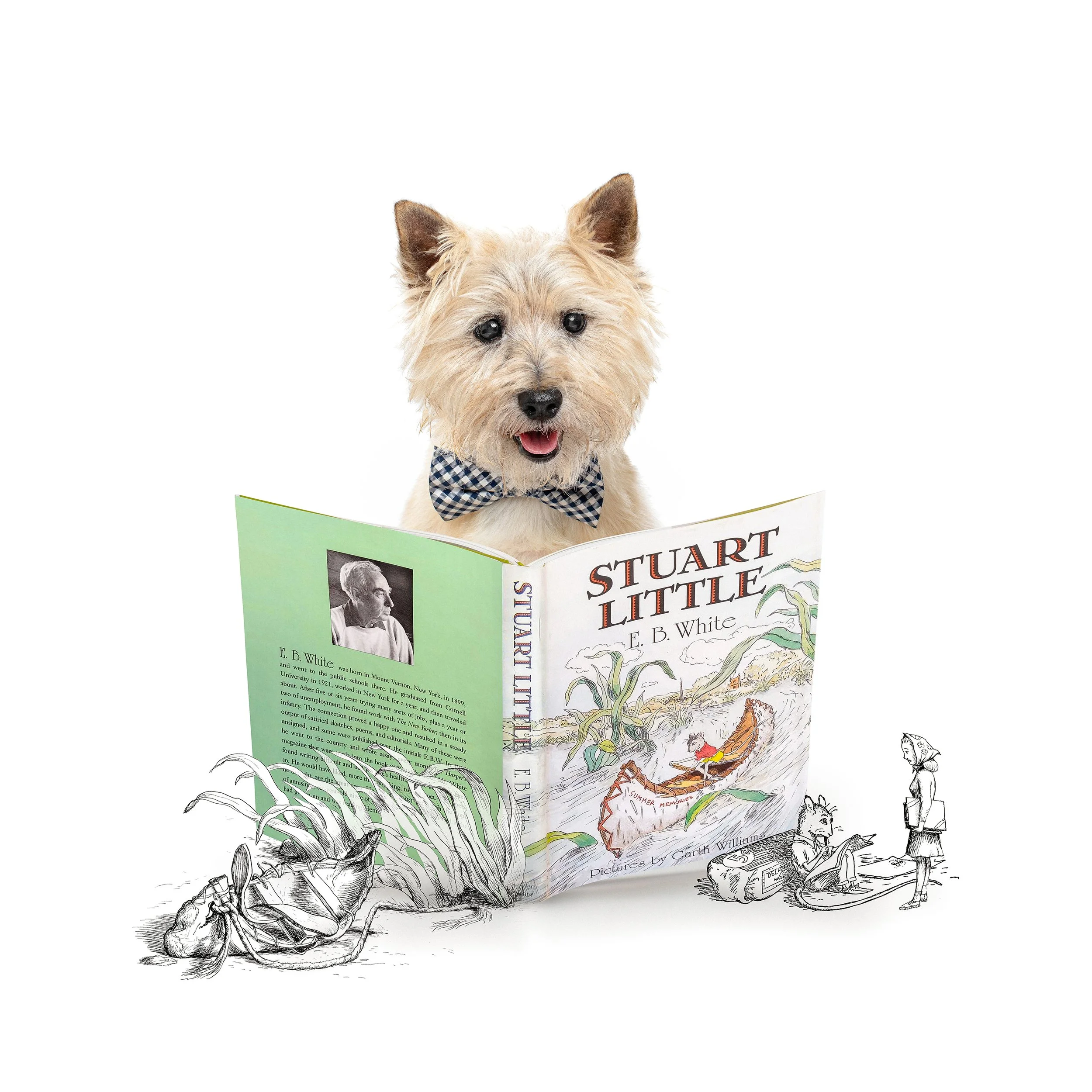 Stuart Little copy.jpg