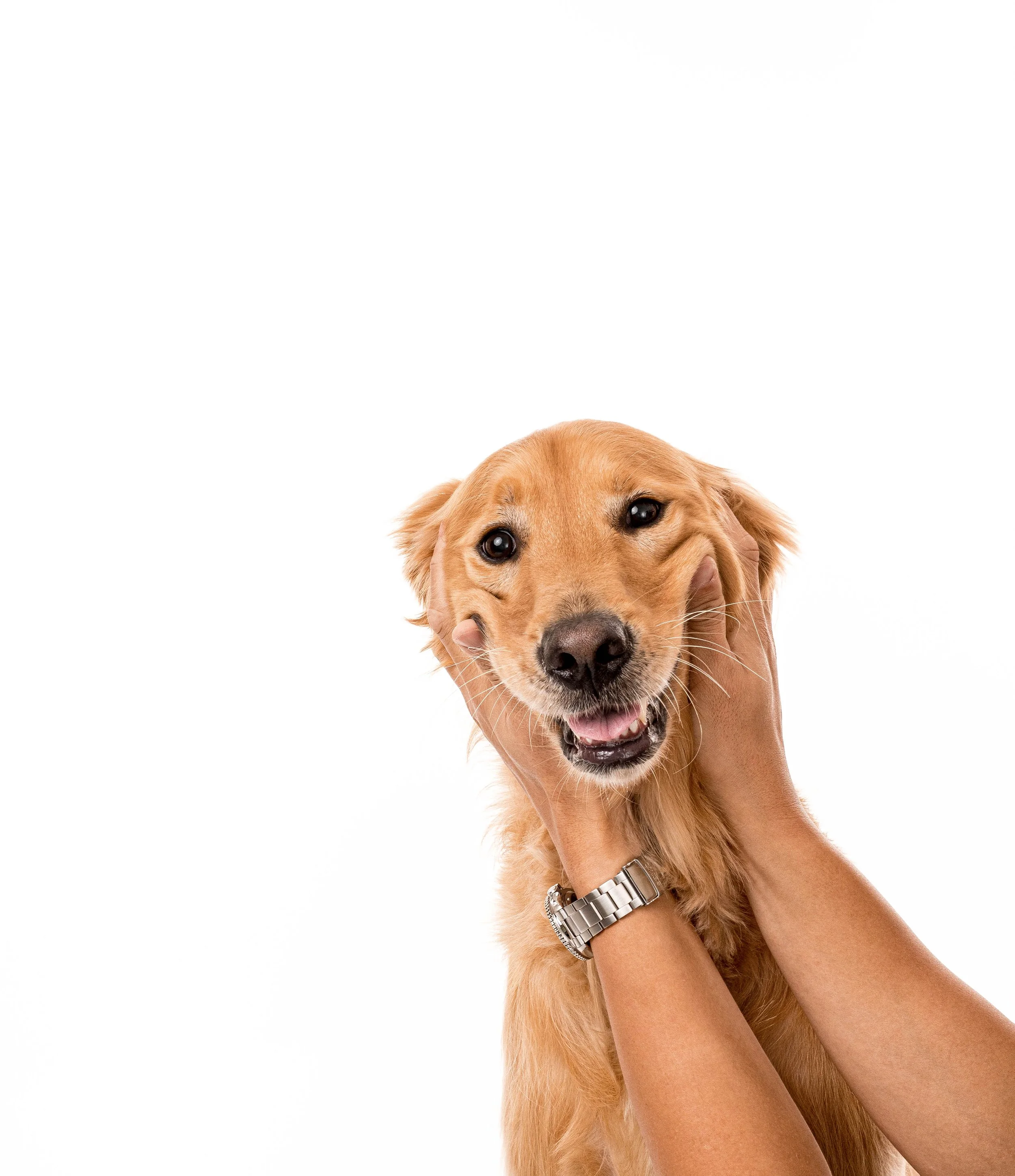 2022 08 20 Liu-155-Edit-Edit.jpg