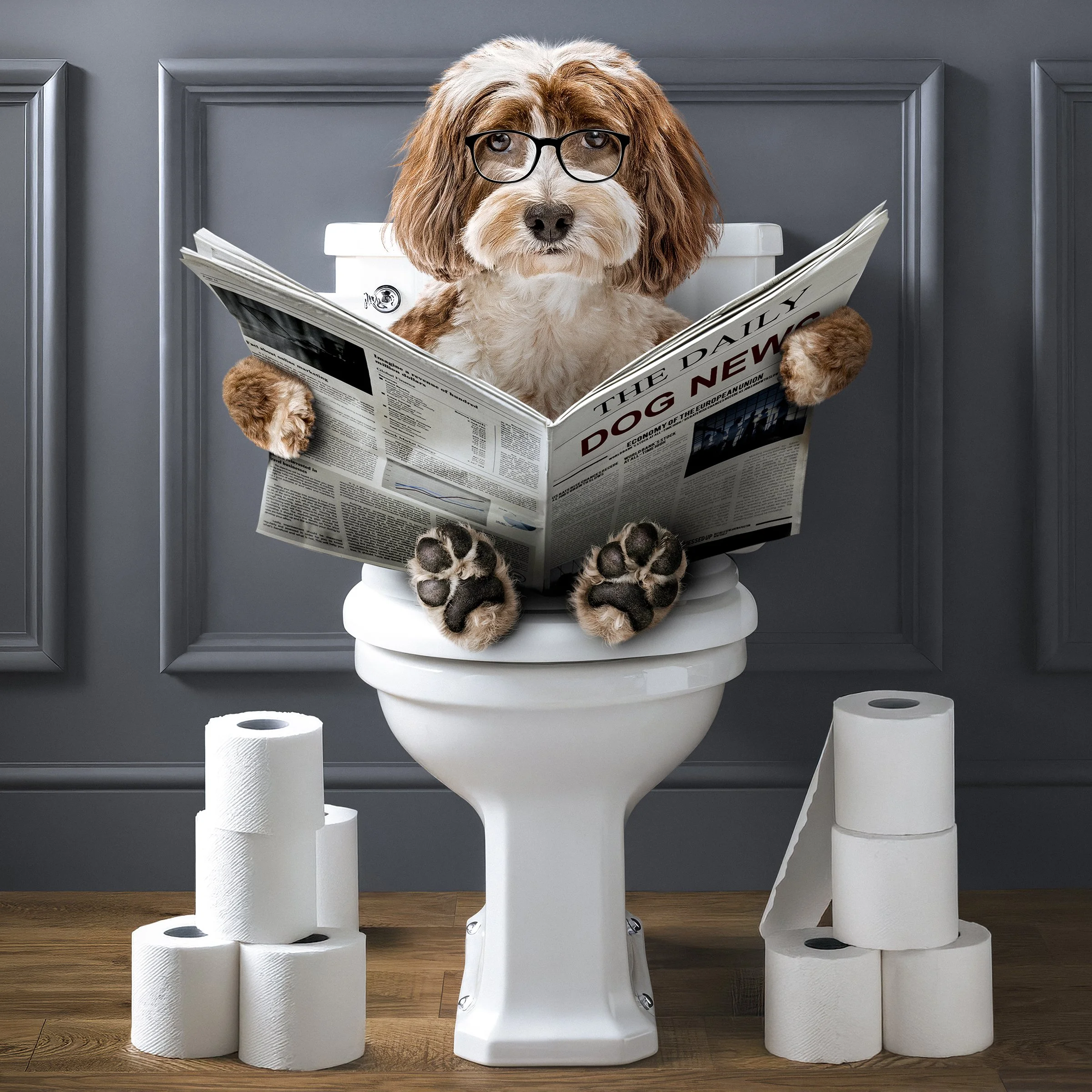 2025 11 02 Cho - toilet v7(16x20) copy.jpg