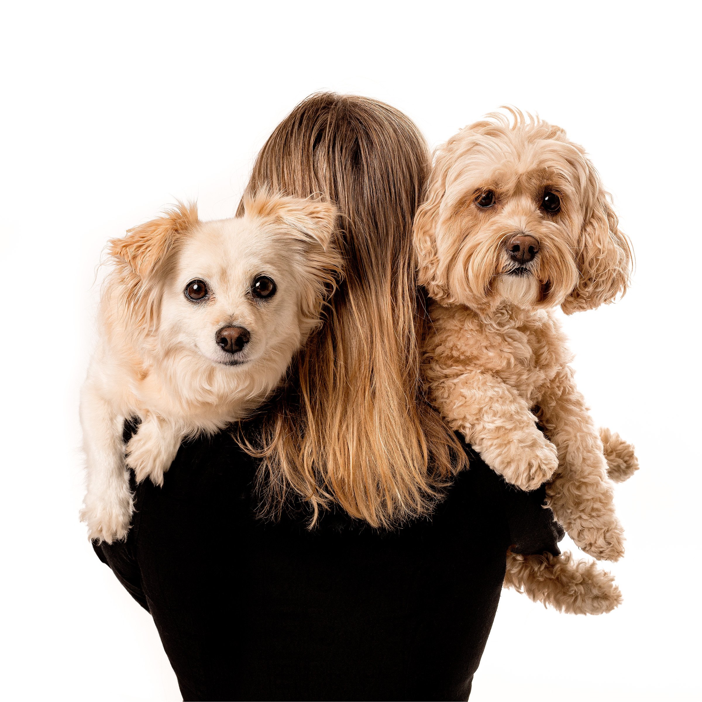 2021 10 08 Hamill-330-edit v2 copy.jpg