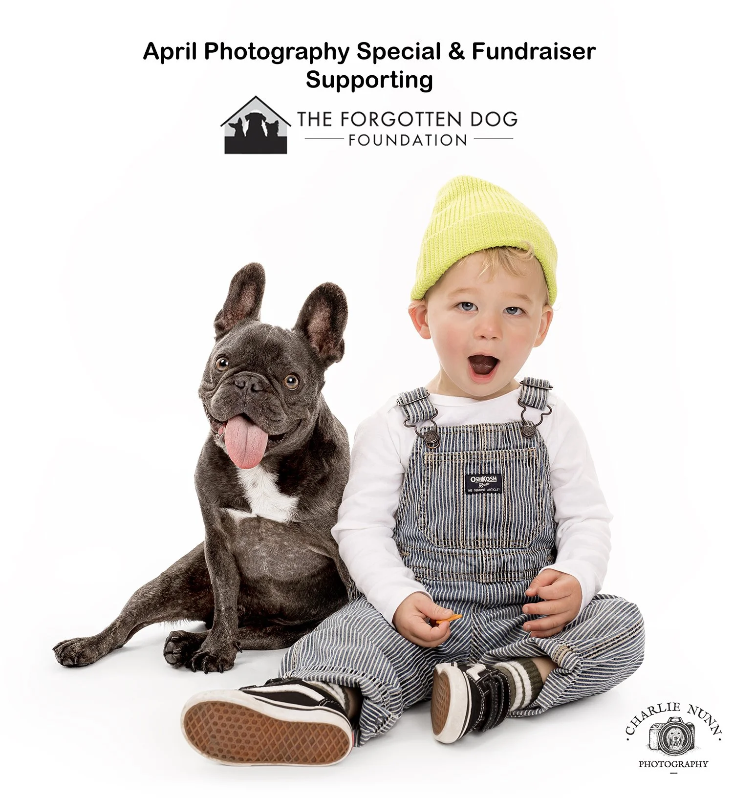Studio Portrait Session benefiting The Forgotten Dog Foundation