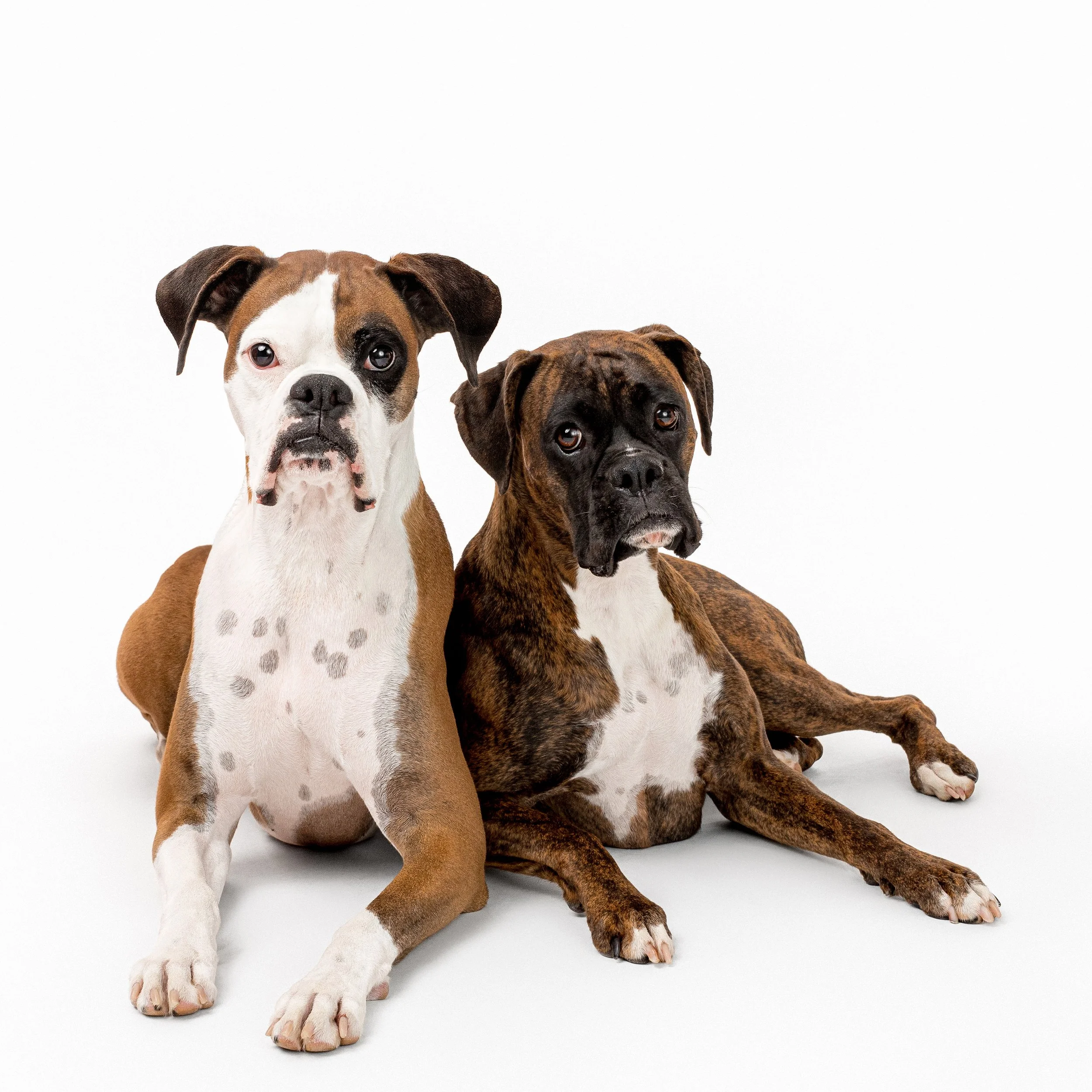 2024 09 21 Reidy-100 copy.jpg