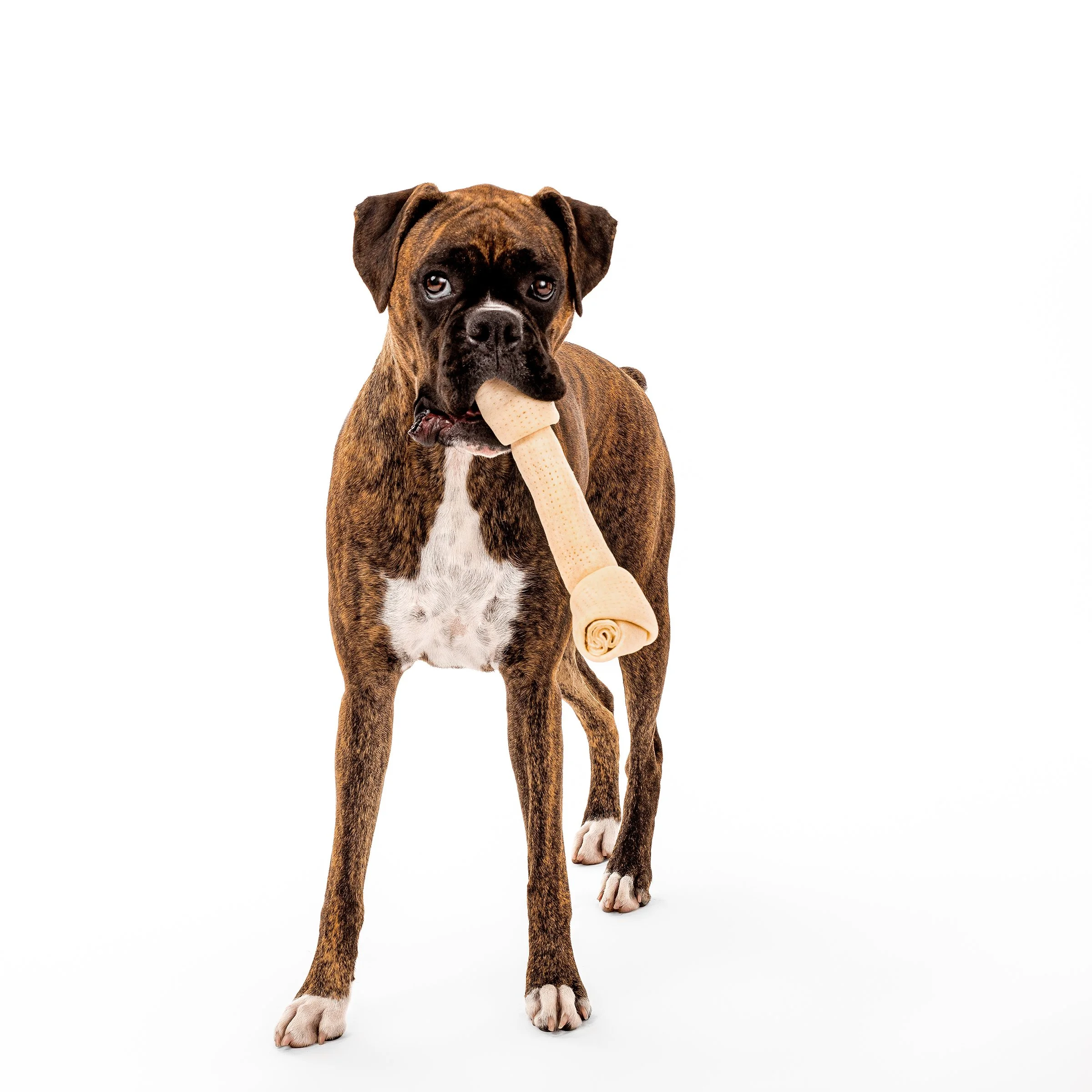 2023 04 27 Anthony-108 copy.jpg